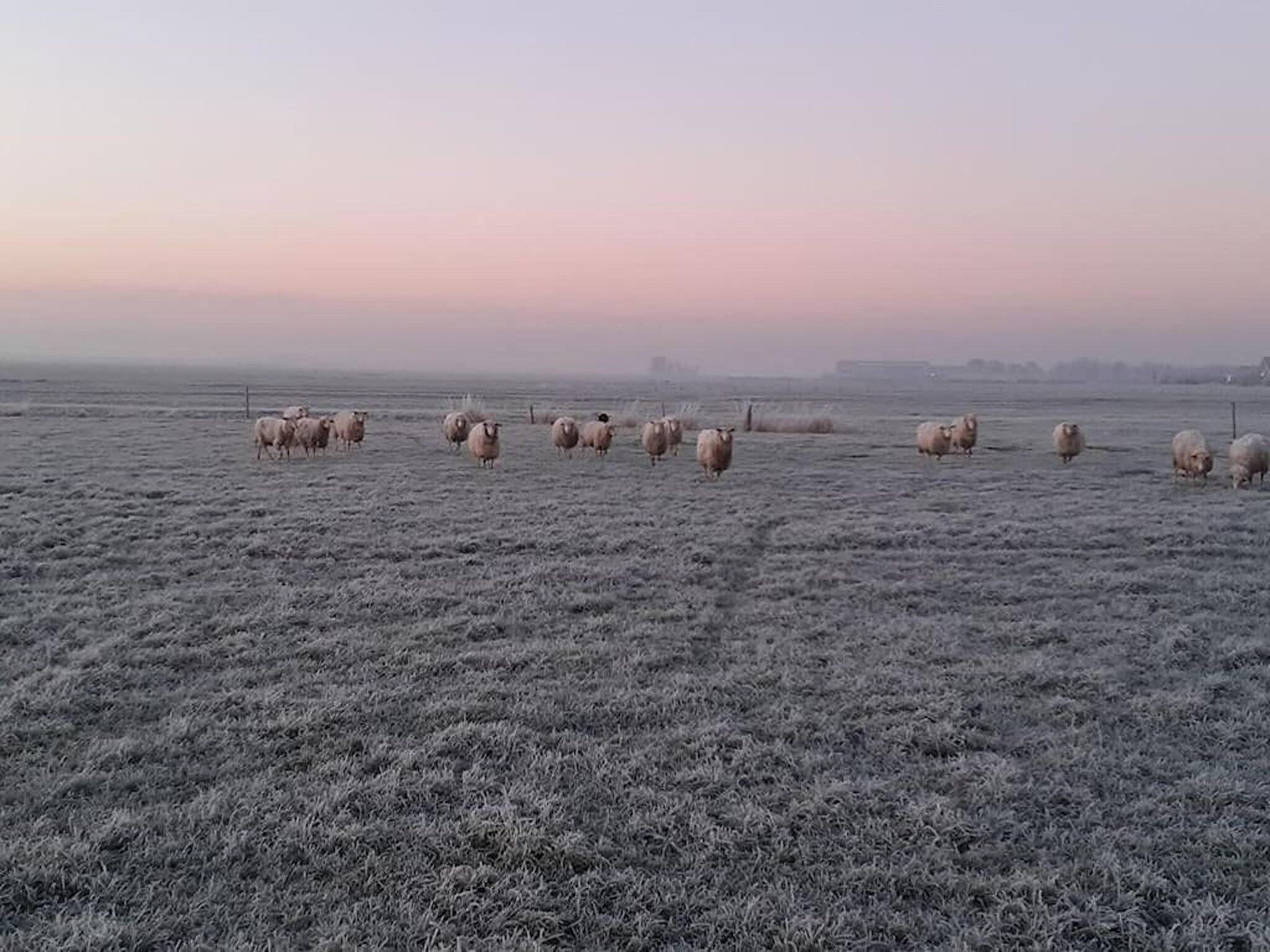 Het uitzicht vanaf Grutto in Tjerkgaast
