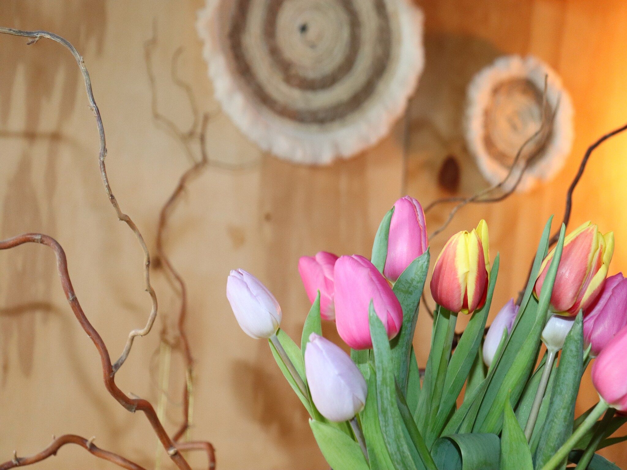 Sfeerbeeld van Grutto in Tjerkgaast