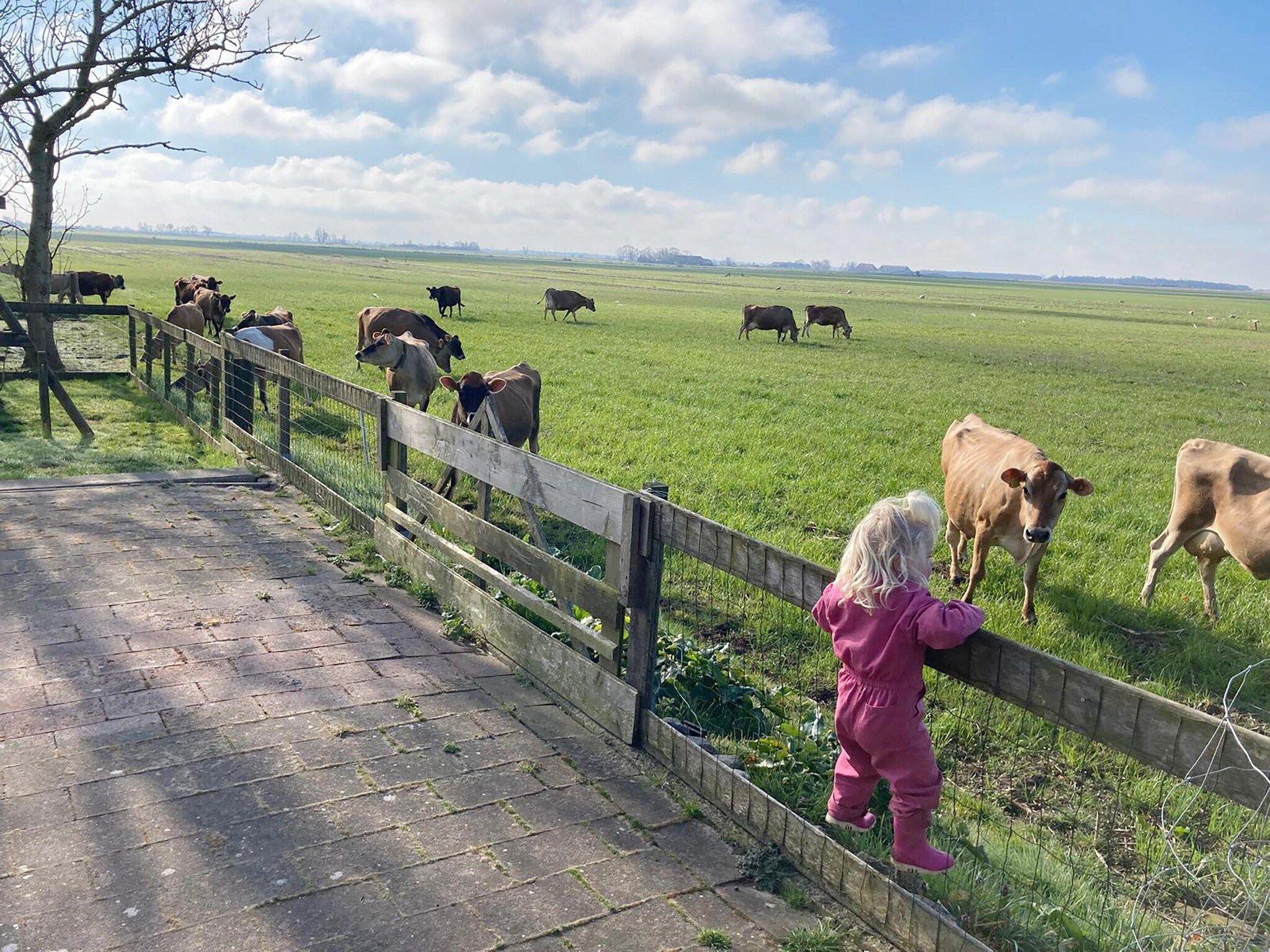Het uitzicht vanaf Grutto in Tjerkgaast