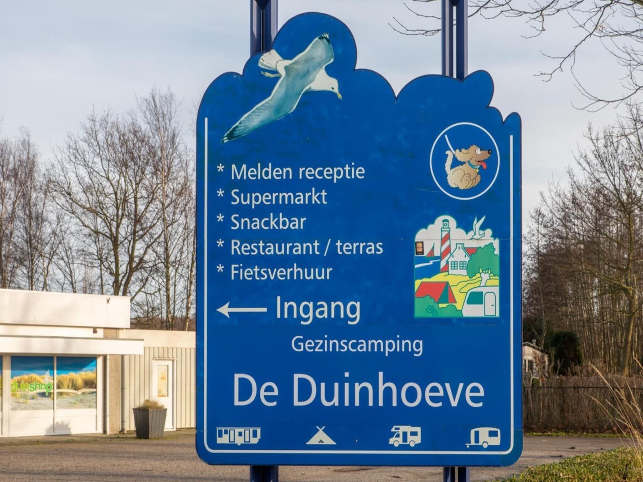 De omgeving van Chalet - Camping de Duinhoeve 'Bosdier' in Burgh-Haamstede