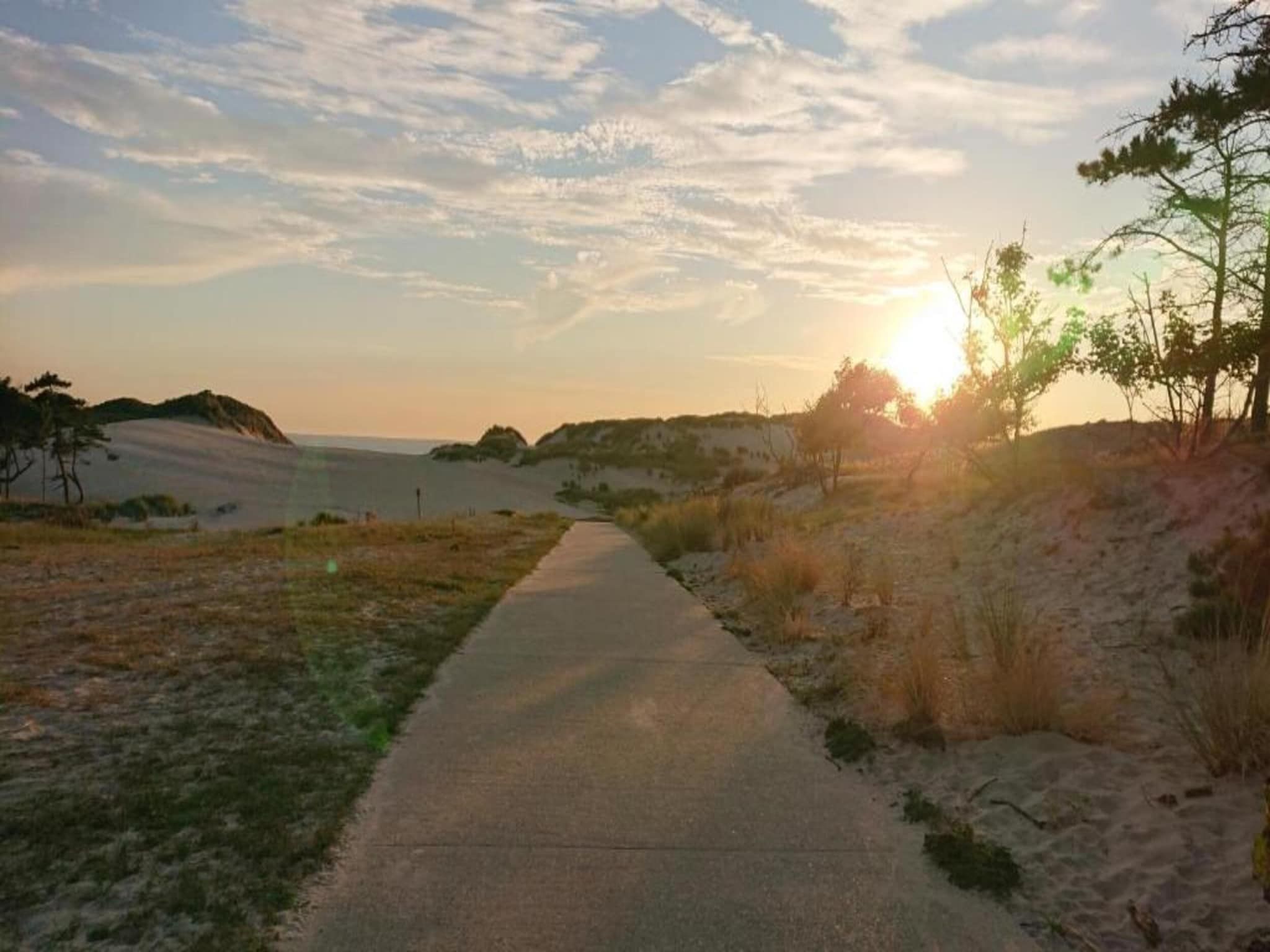 De omgeving van Chalet - Camping de Duinhoeve 'Bosdier' in Burgh-Haamstede