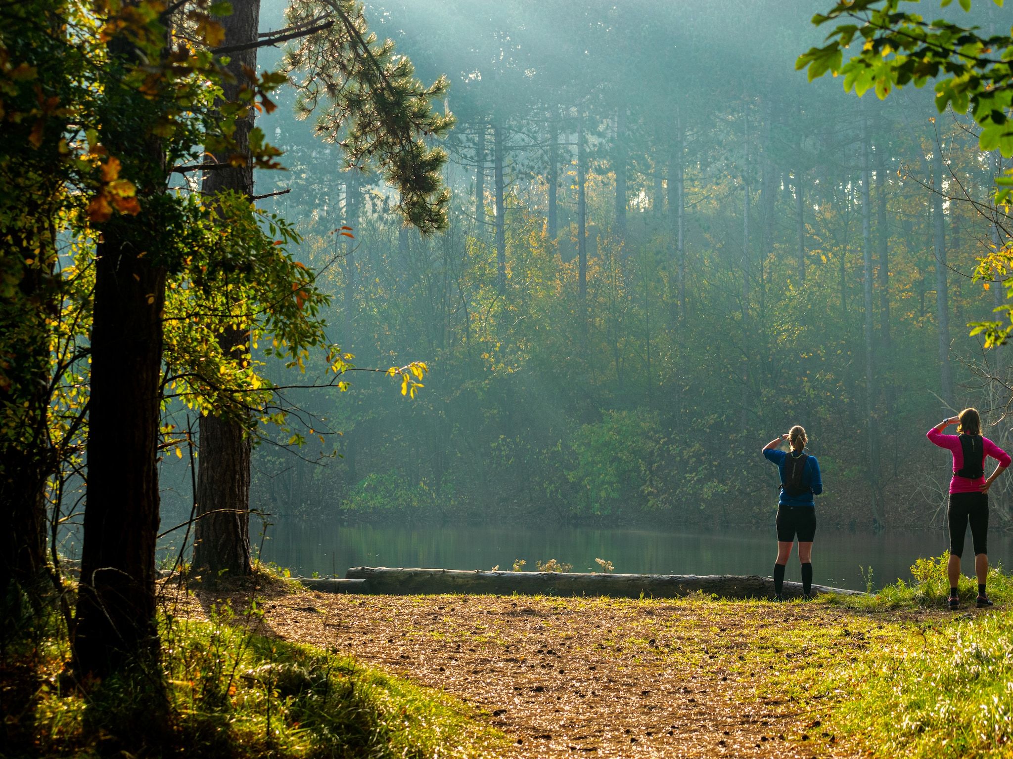 De omgeving van Chalet - Camping de Duinhoeve 'Bosdier' in Burgh-Haamstede