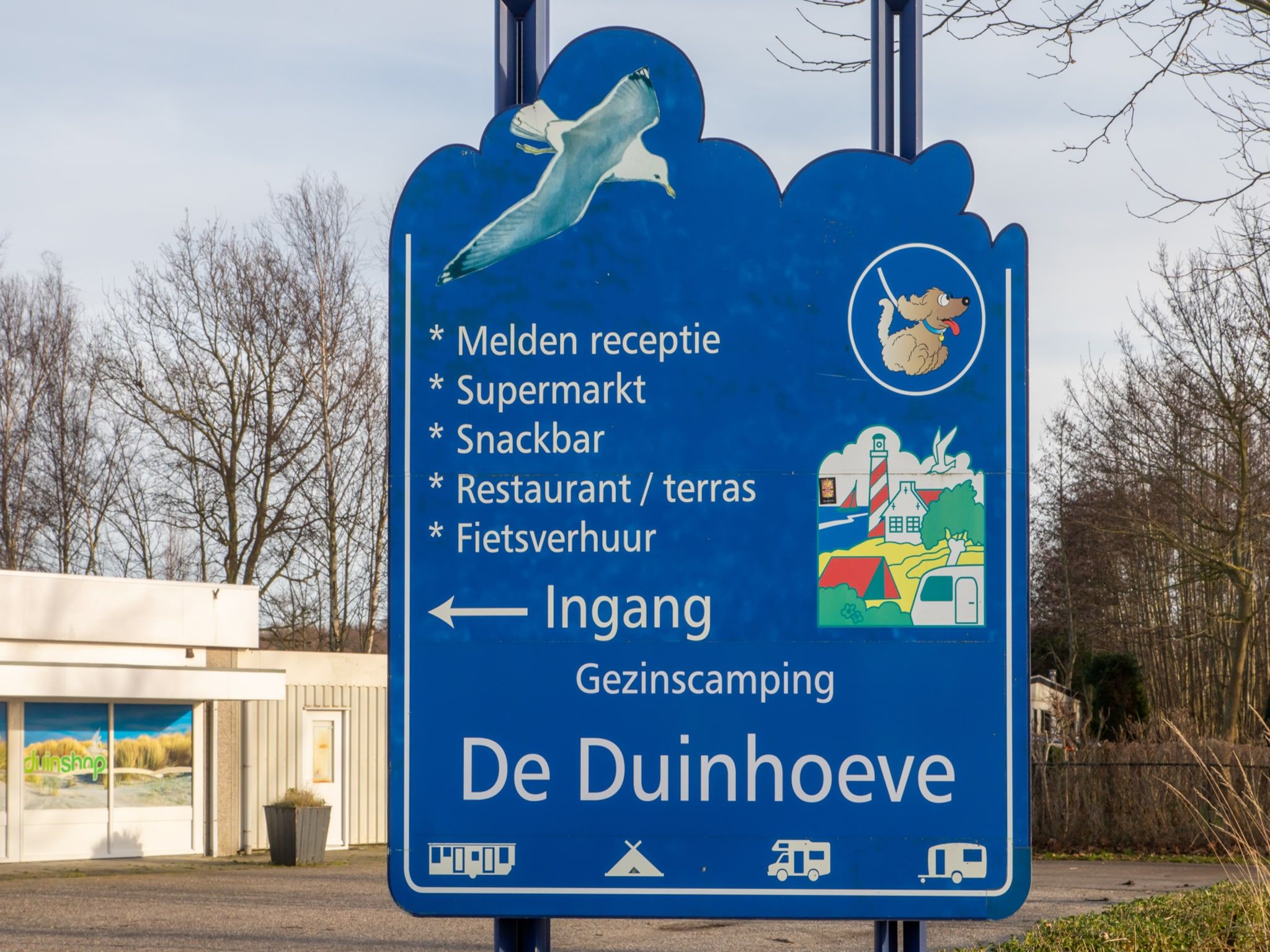 De buitenkant van Chalet - Camping de Duinhoeve 'Bosdier' in Burgh-Haamstede