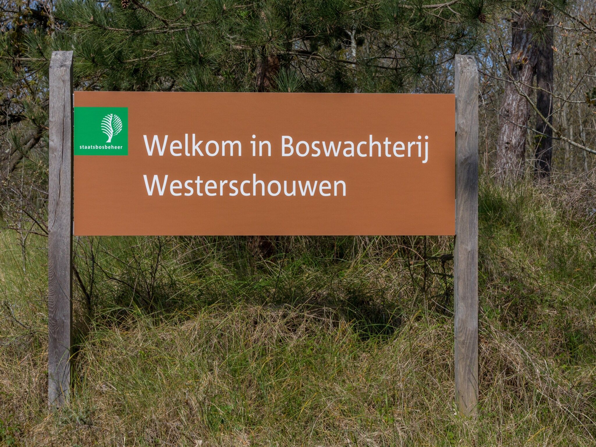 De buitenkant van Chalet - Camping de Duinhoeve 'Bosdier' in Burgh-Haamstede