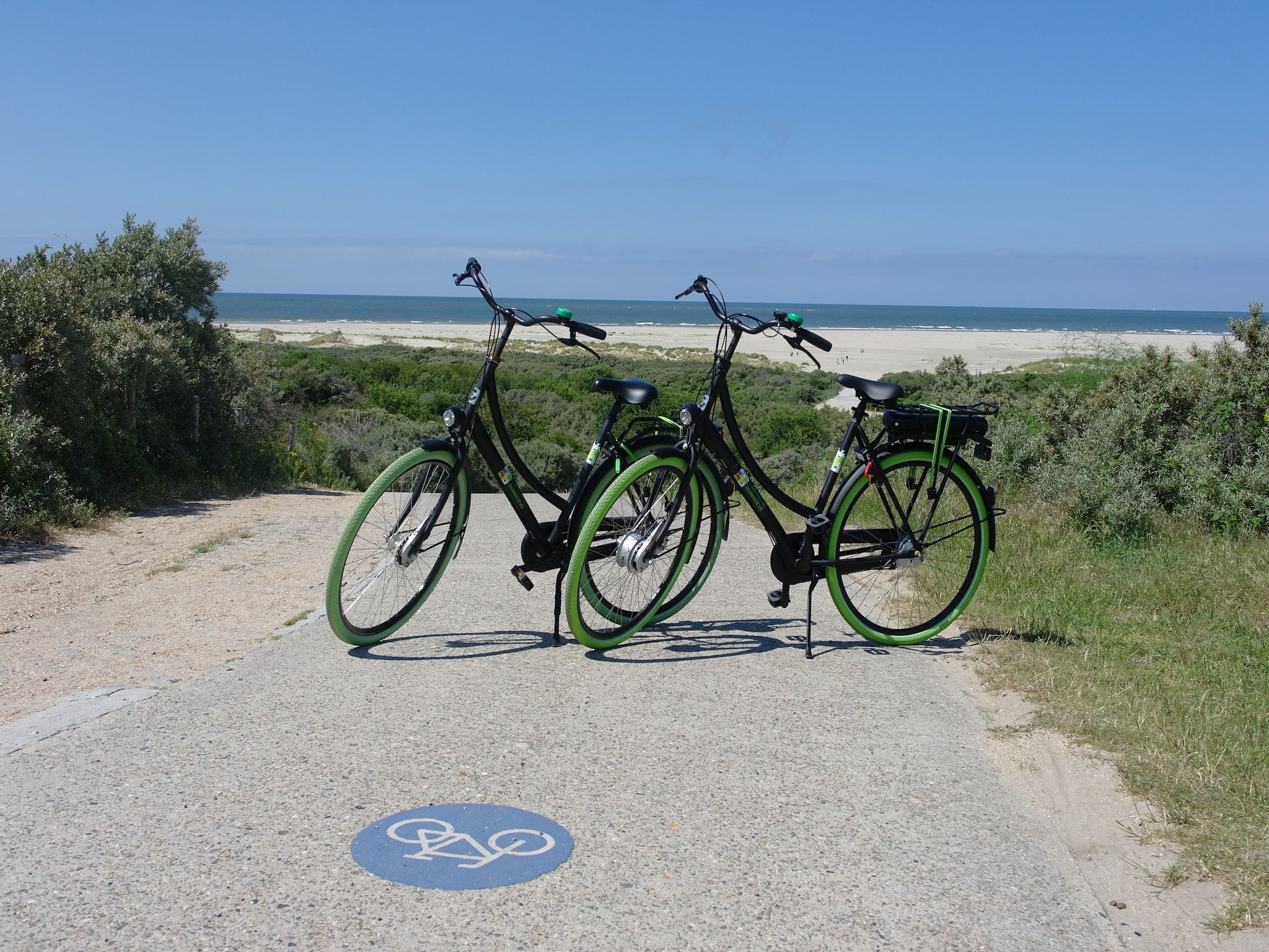 De buitenkant van Chalet - Camping de Duinhoeve 'Bosdier' in Burgh-Haamstede