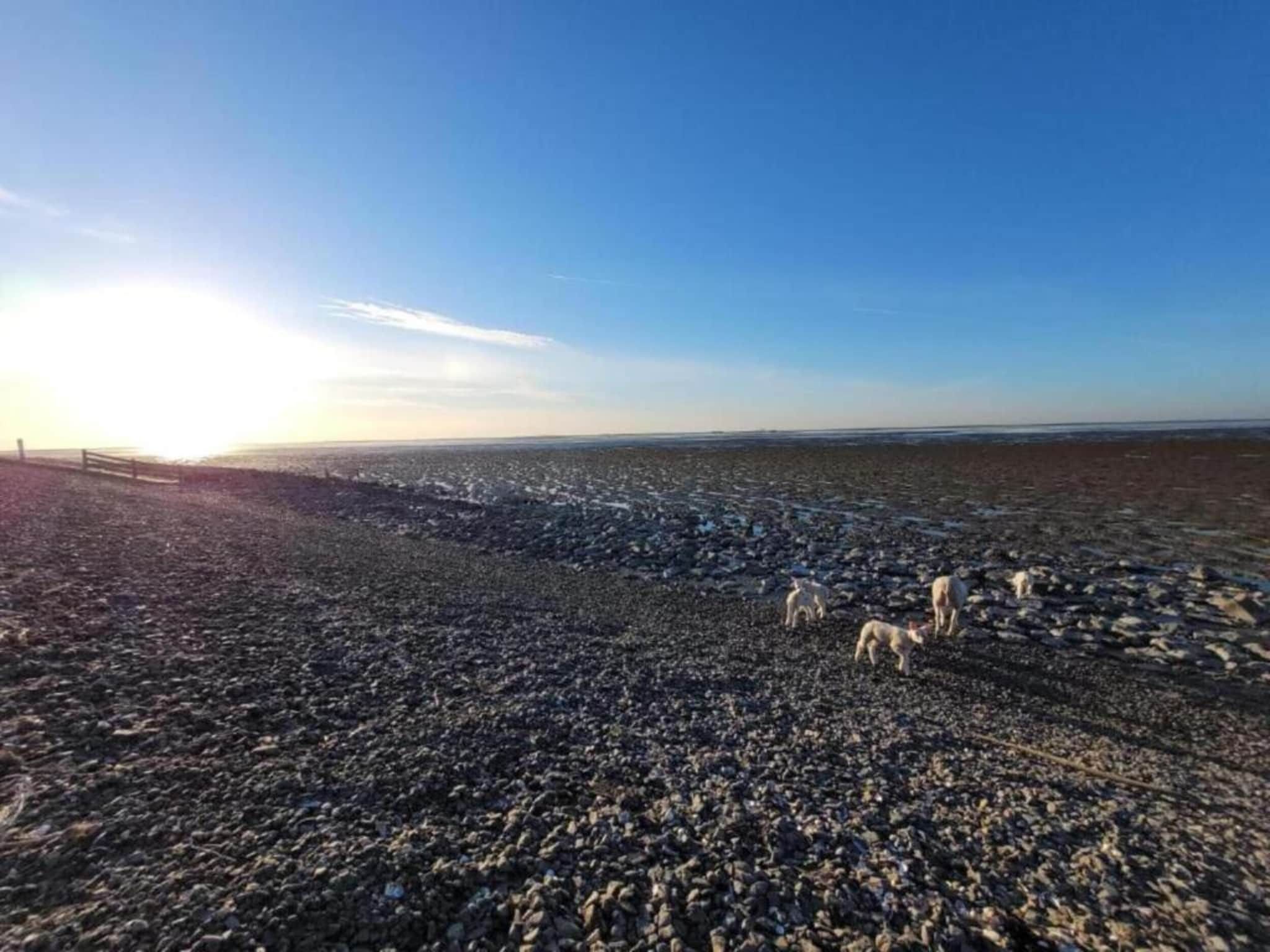 De omgeving van Docklodge 42 in Delfstrahuizen