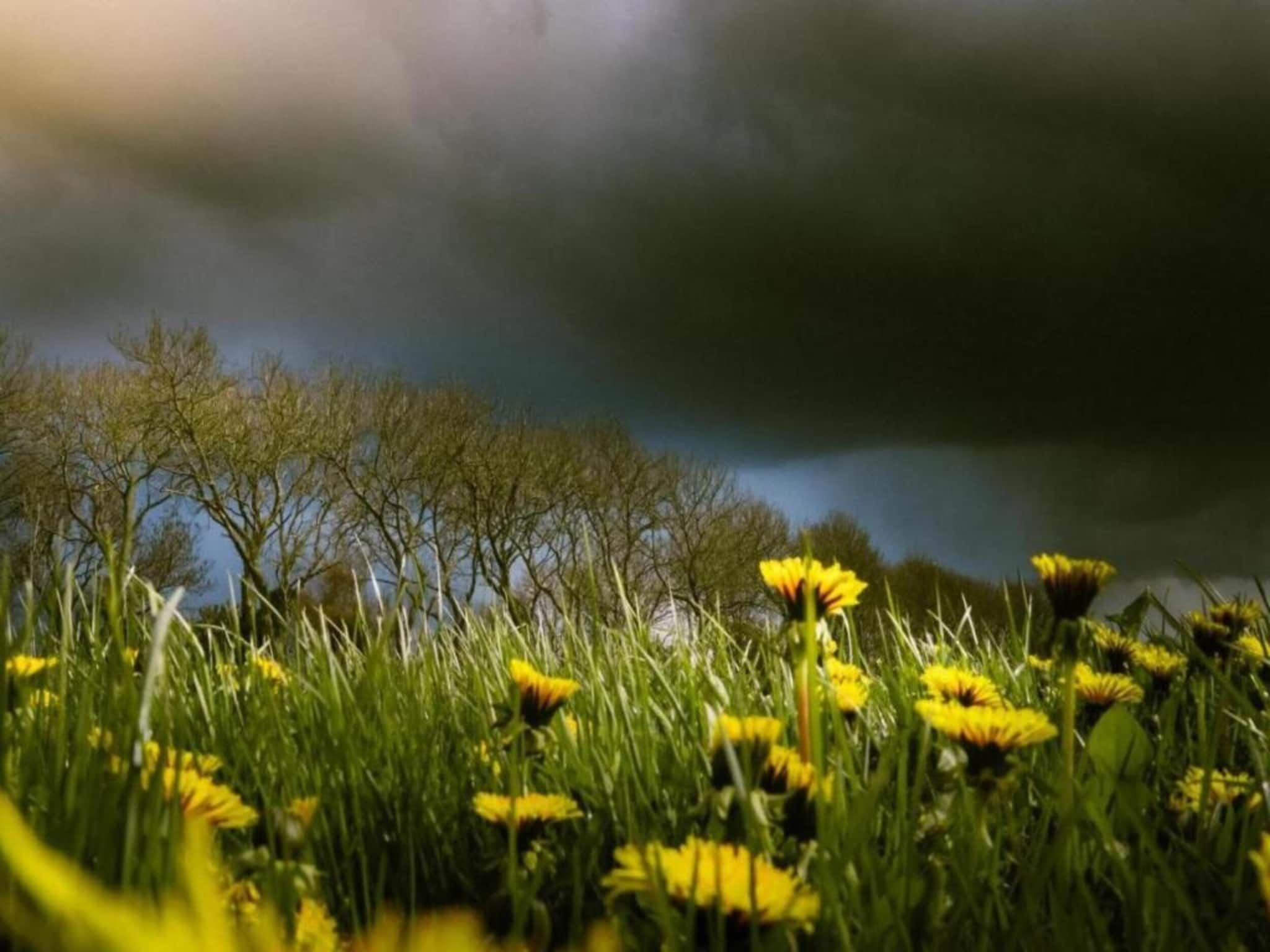 De omgeving van Docklodge 42 in Delfstrahuizen