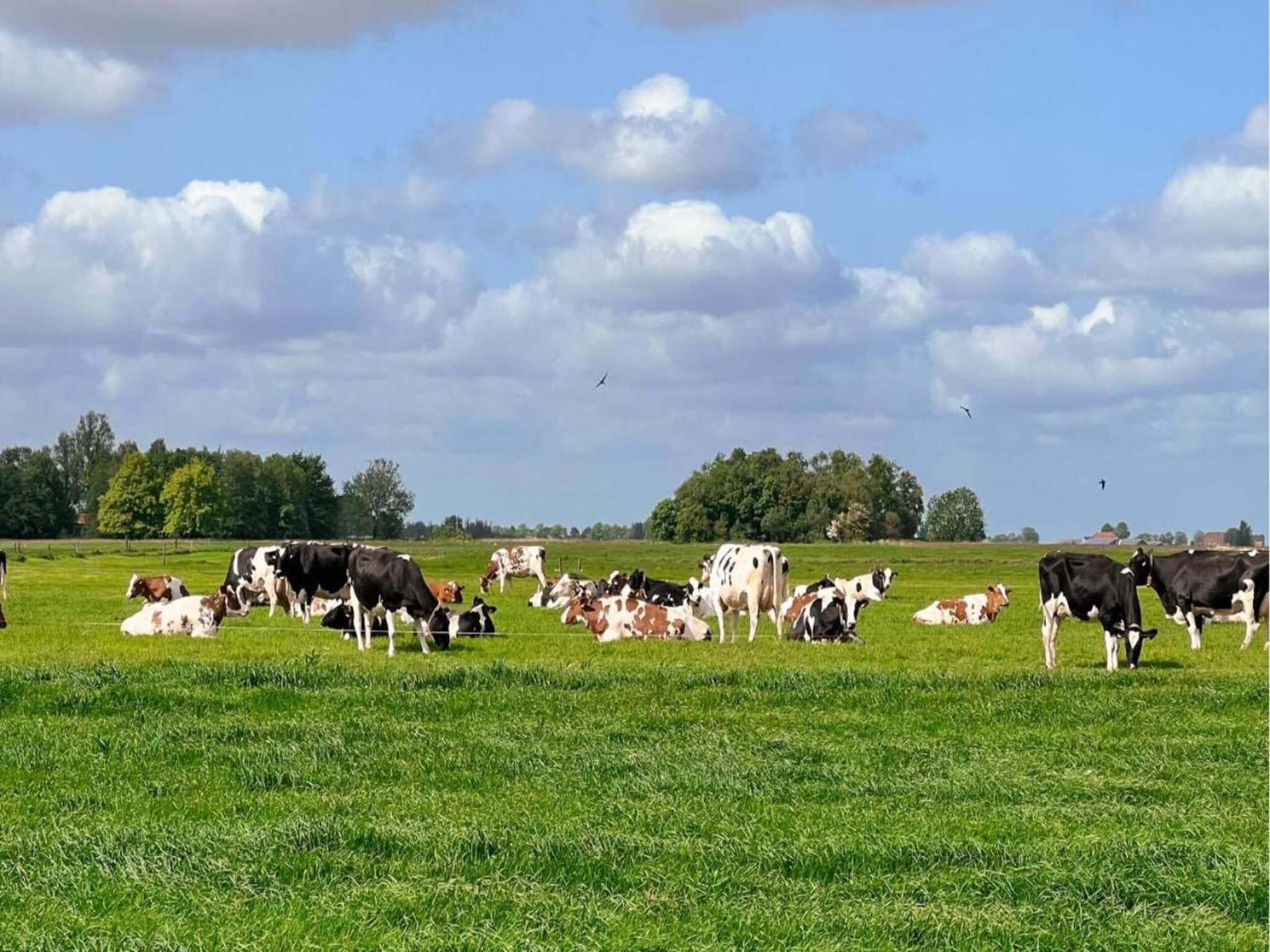 Docklodge 28 in Delfstrahuizen - Foto 30 van 40