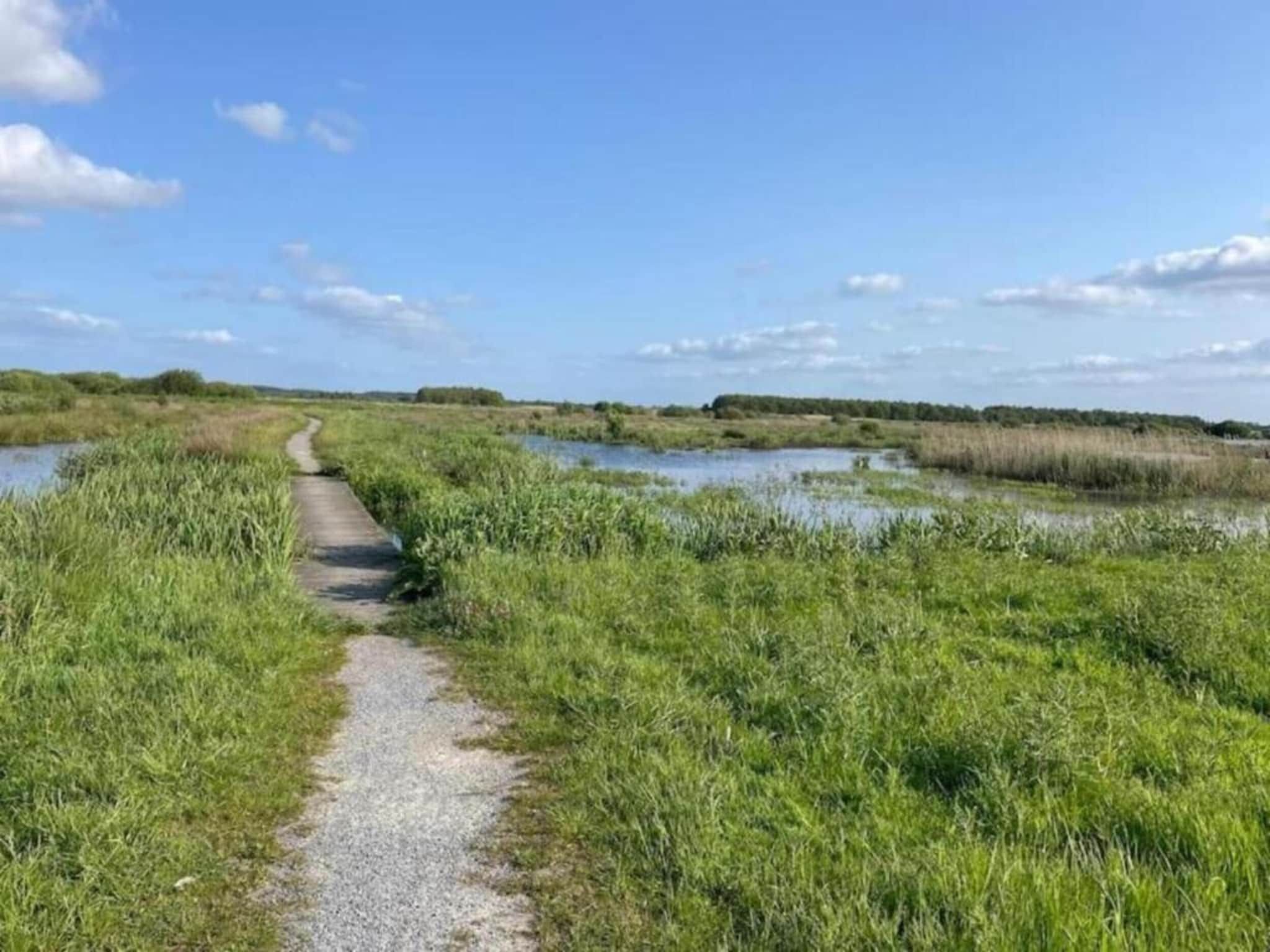 De omgeving van Docklodge 28 in Delfstrahuizen