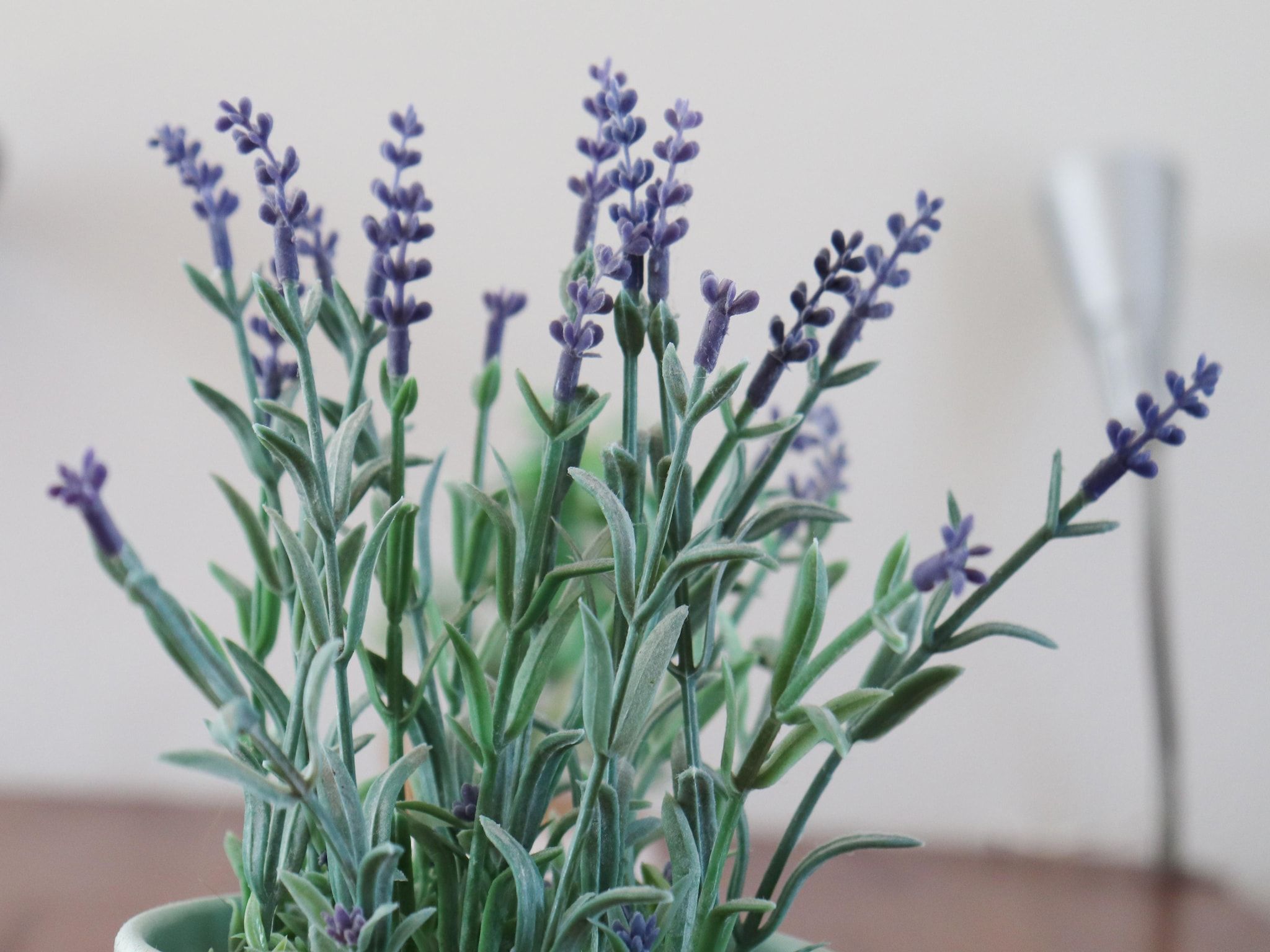 Sfeerbeeld van Bargereed 90 in Tzummarum