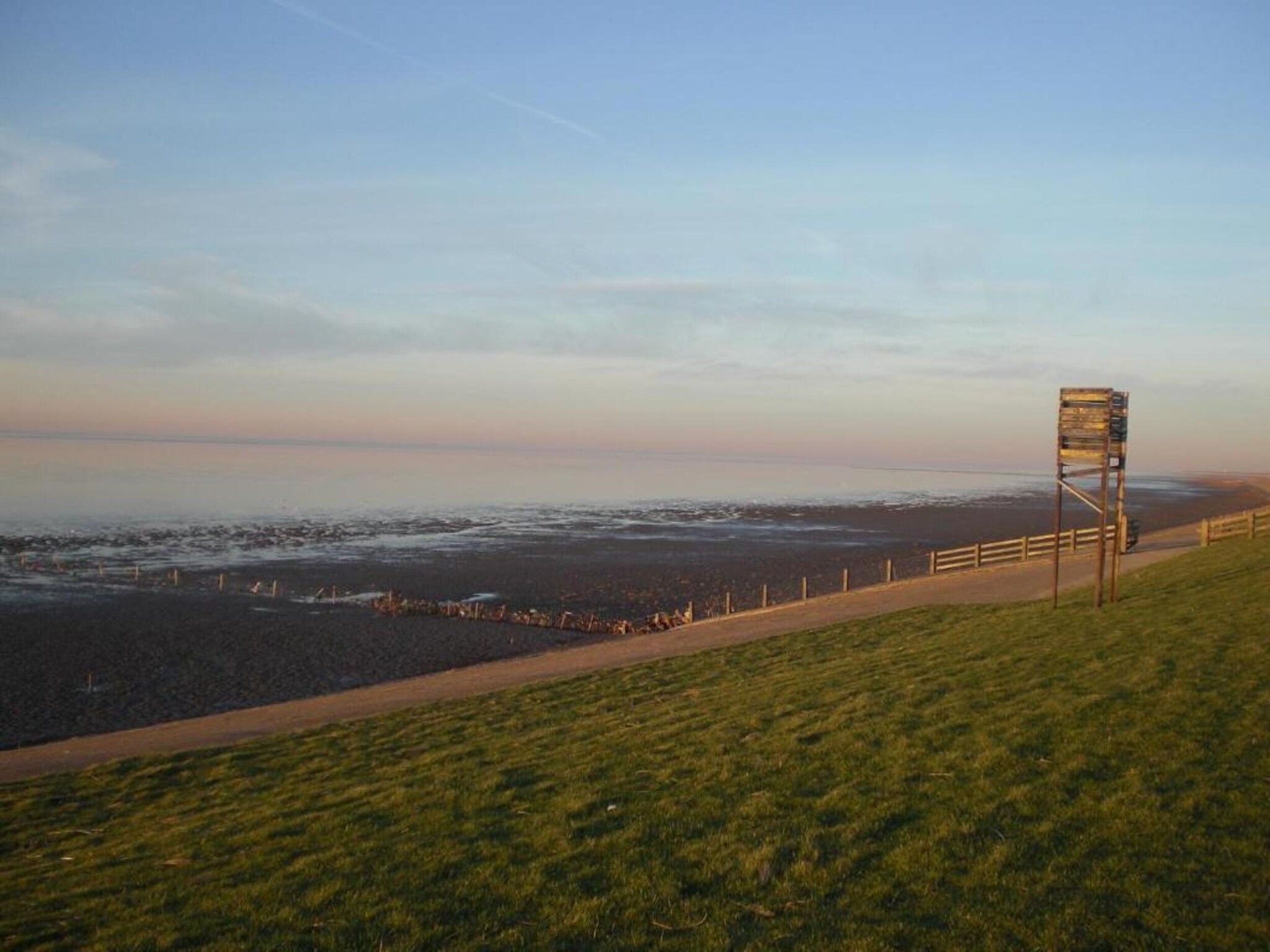 De omgeving van Bargereed 90 in Tzummarum