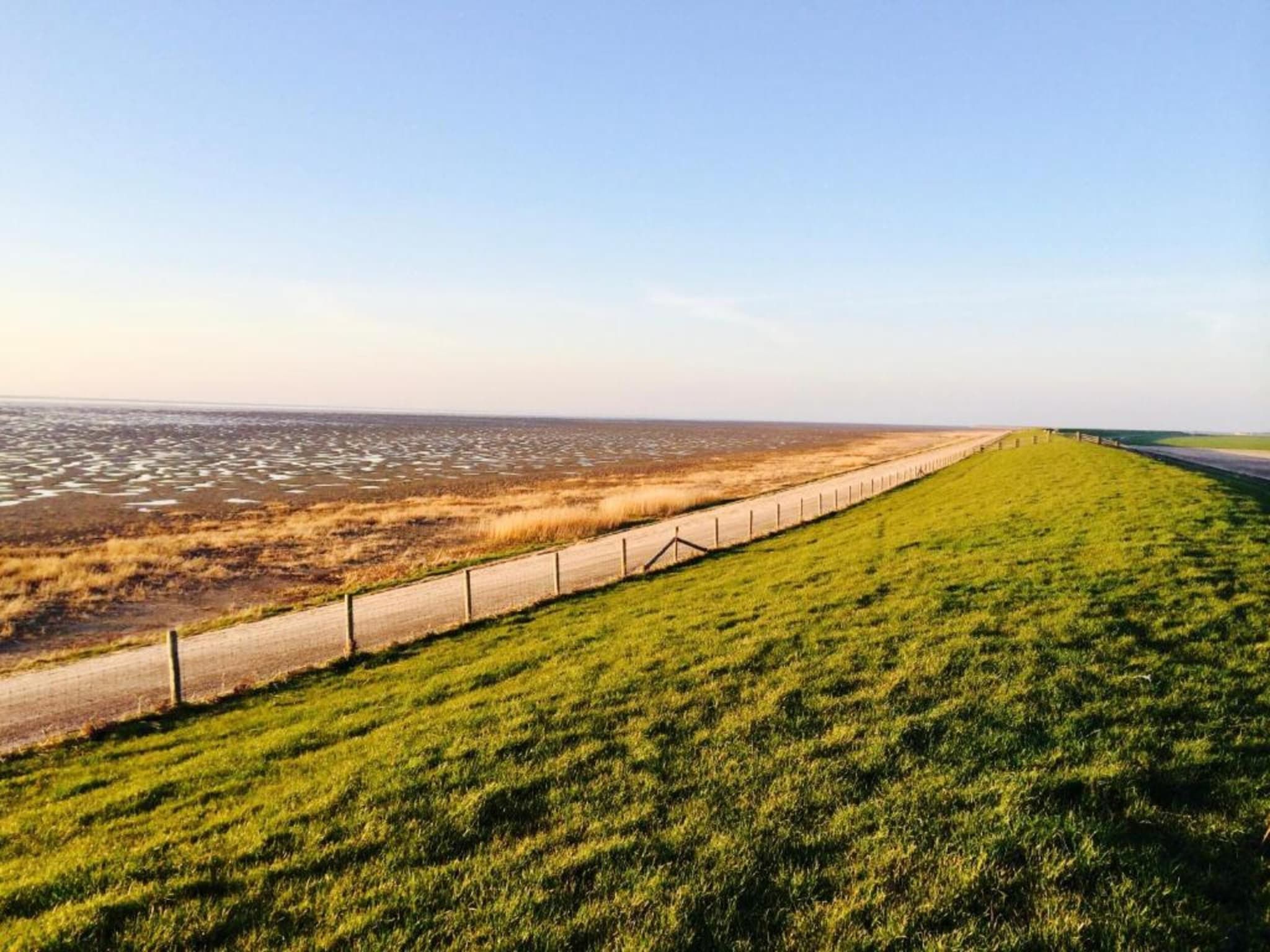 De omgeving van Bargereed 90 in Tzummarum