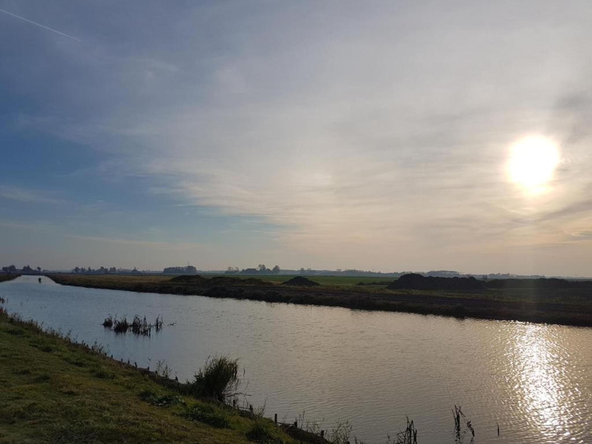 De omgeving van Bargereed 90 in Tzummarum