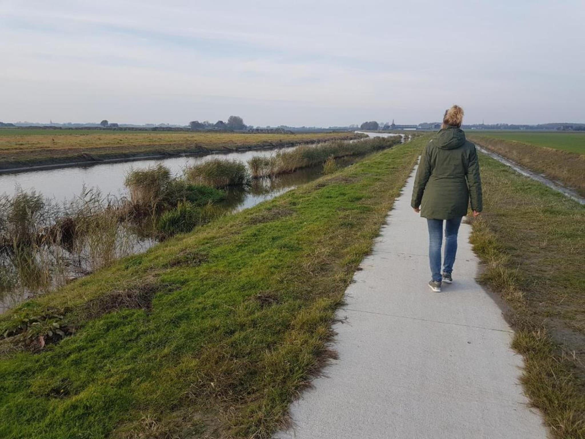 De omgeving van Bargereed 90 in Tzummarum