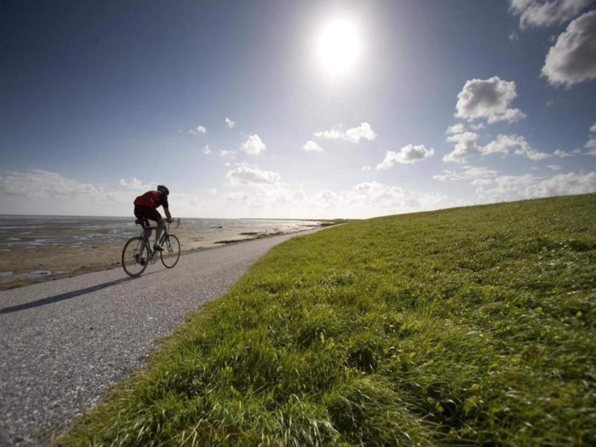 De omgeving van Bargereed 90 in Tzummarum