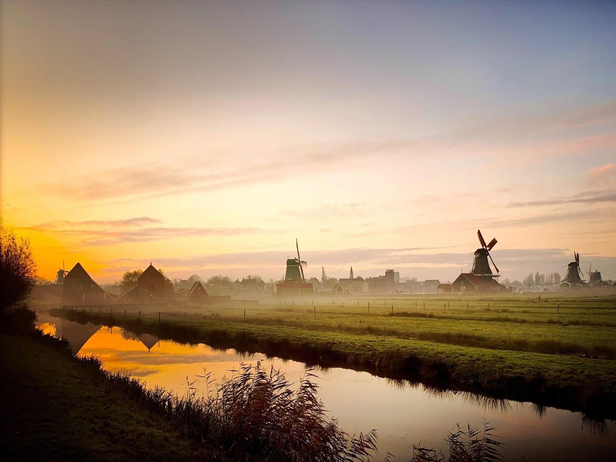 De omgeving van Tulpenhof met sauna  6 personen in West-Graftdijk