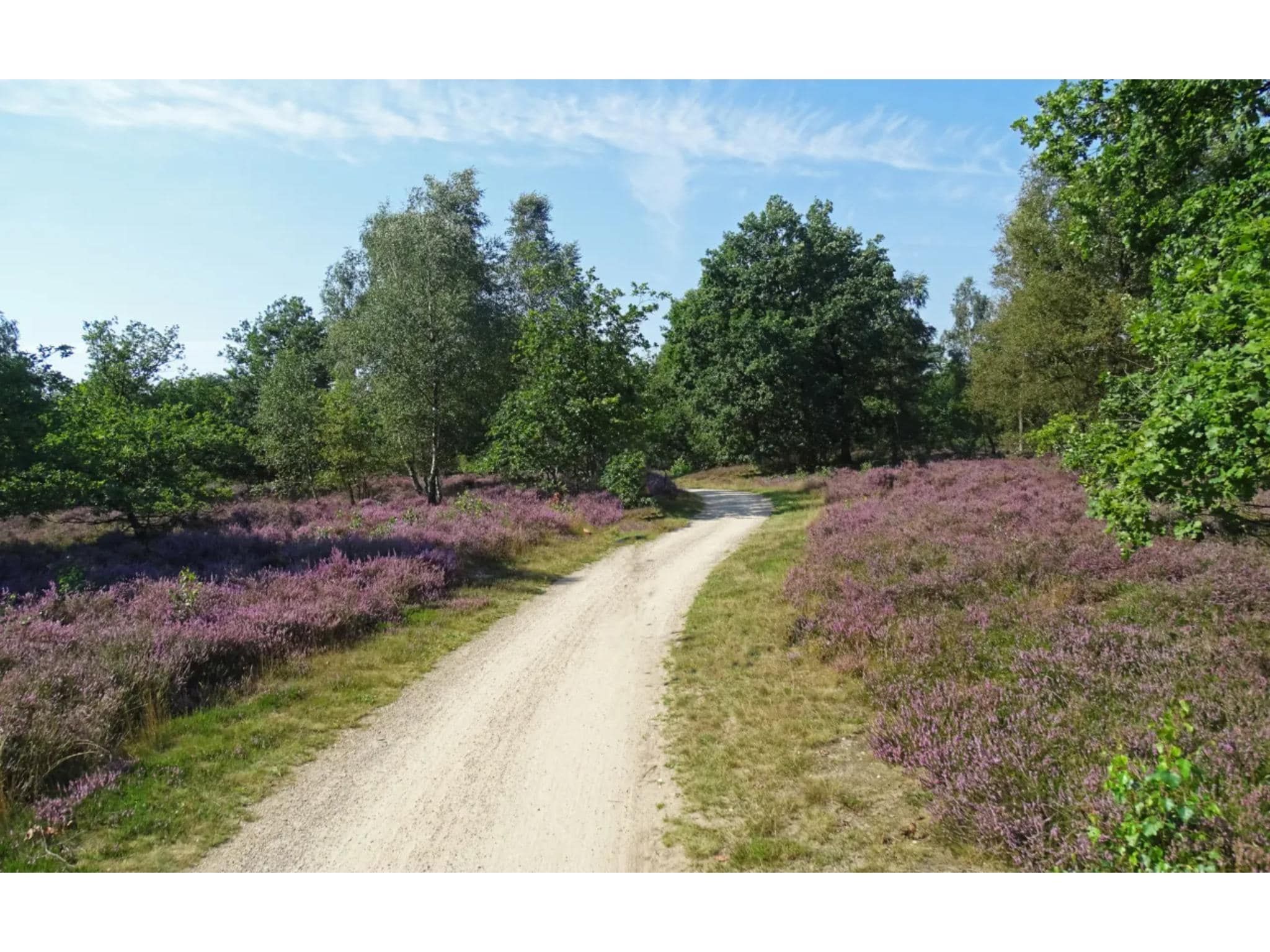 2-persoons wellness lodge in Markelo - Foto 19 van 26