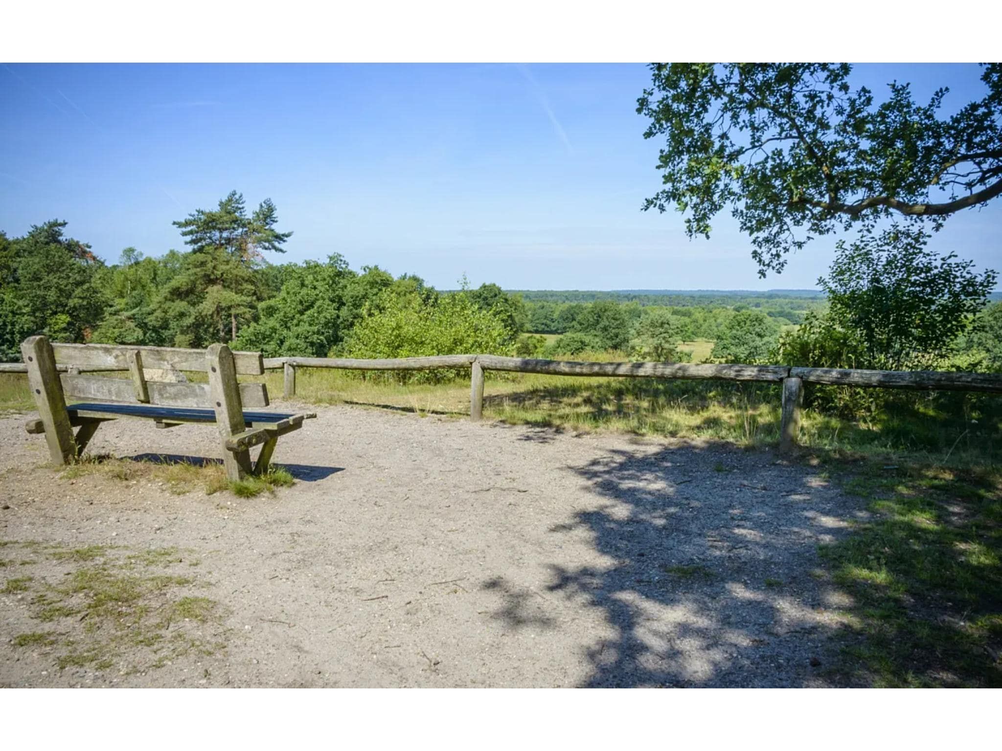 De omgeving van 2-persoons wellness lodge in Markelo