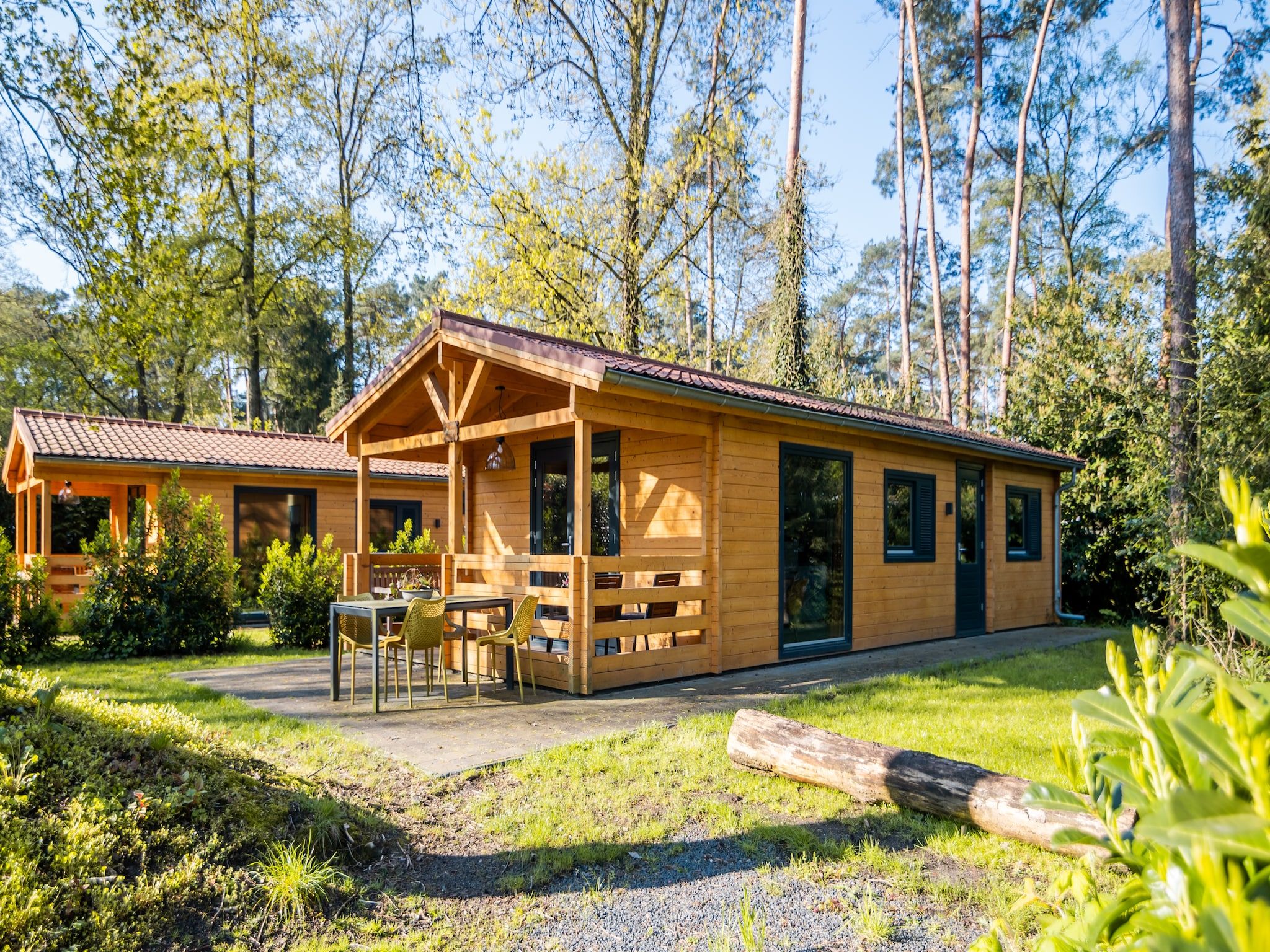 De tuin van 4-persoons wellness lodge in Markelo