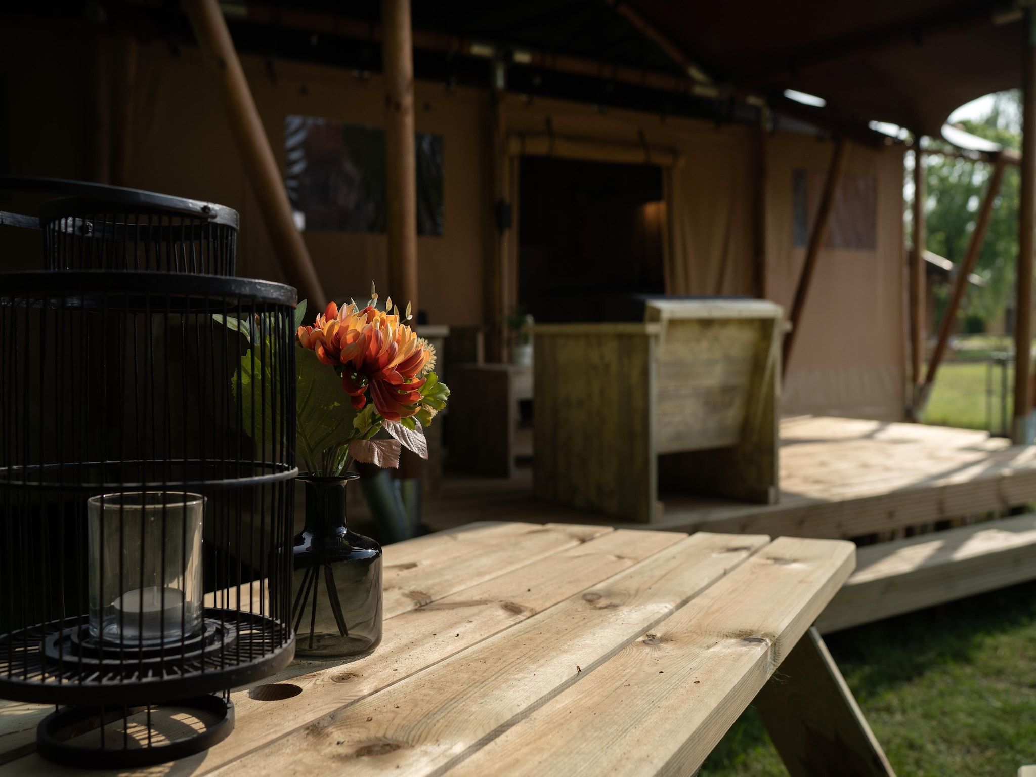 Sfeerbeeld van 6 persoons Luxe Safaritent in Markelo