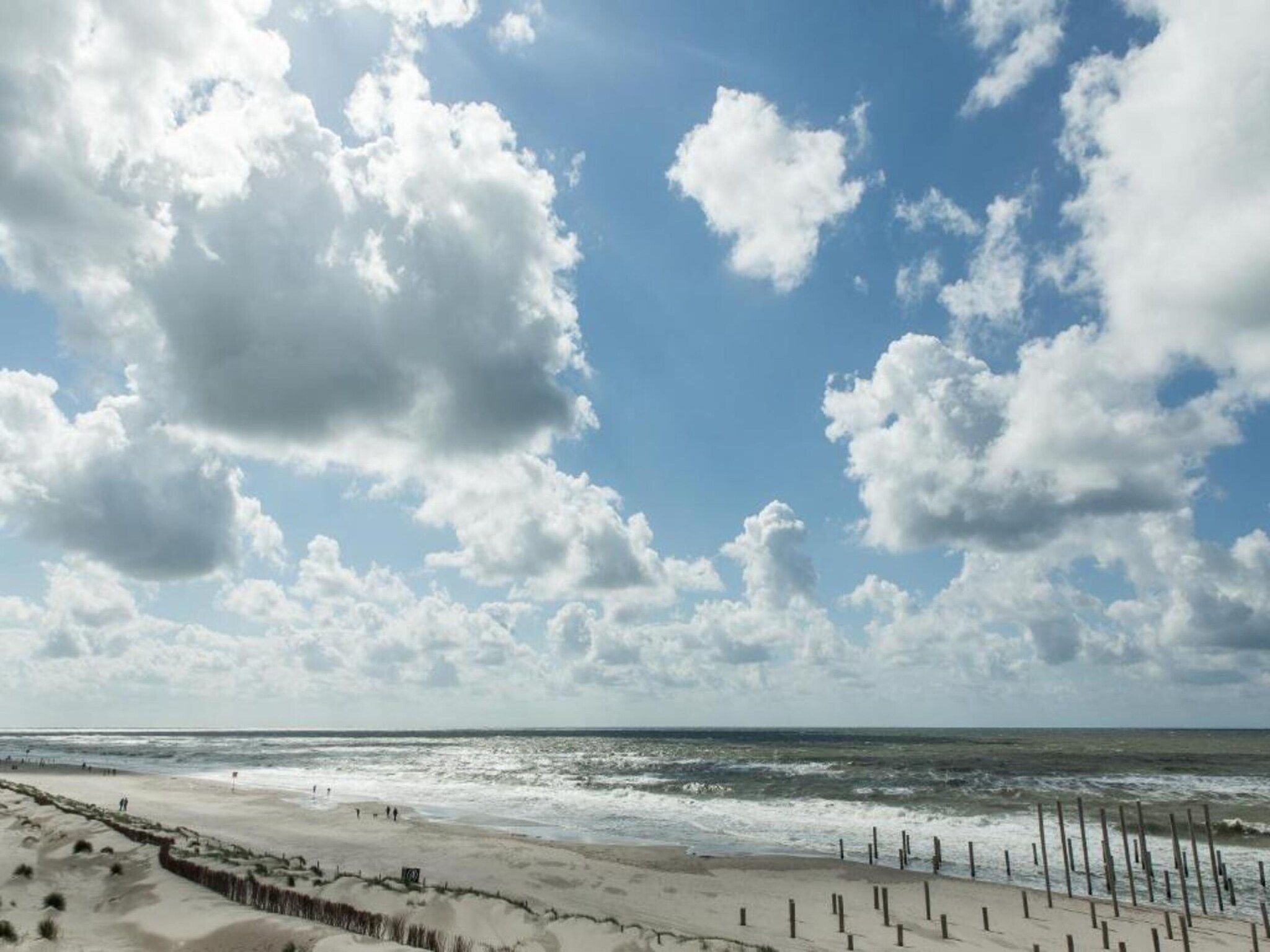 De omgeving van Belkmerduinen 31 in Sint Maartenszee