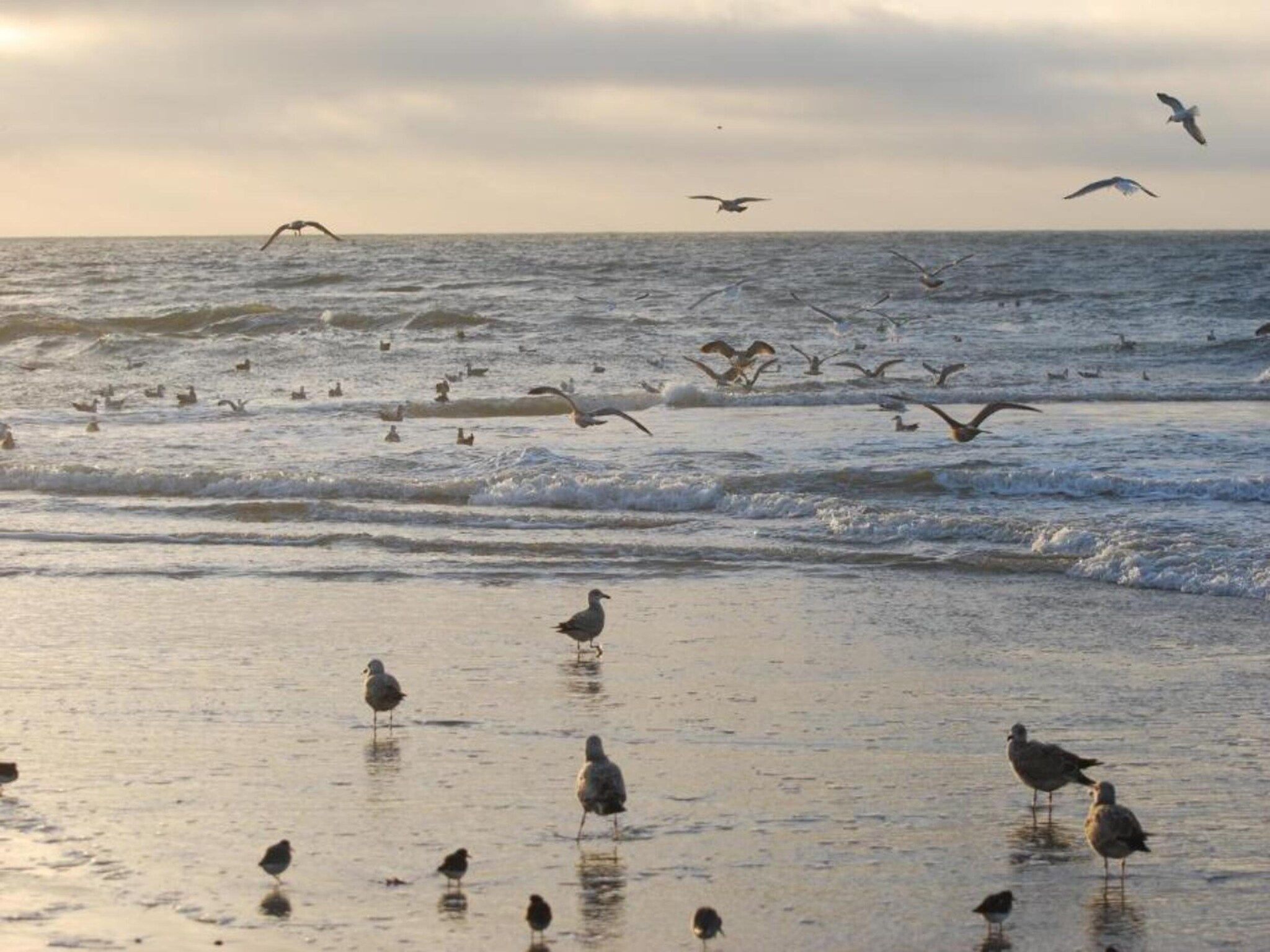 De omgeving van Belkmerduinen 31 in Sint Maartenszee
