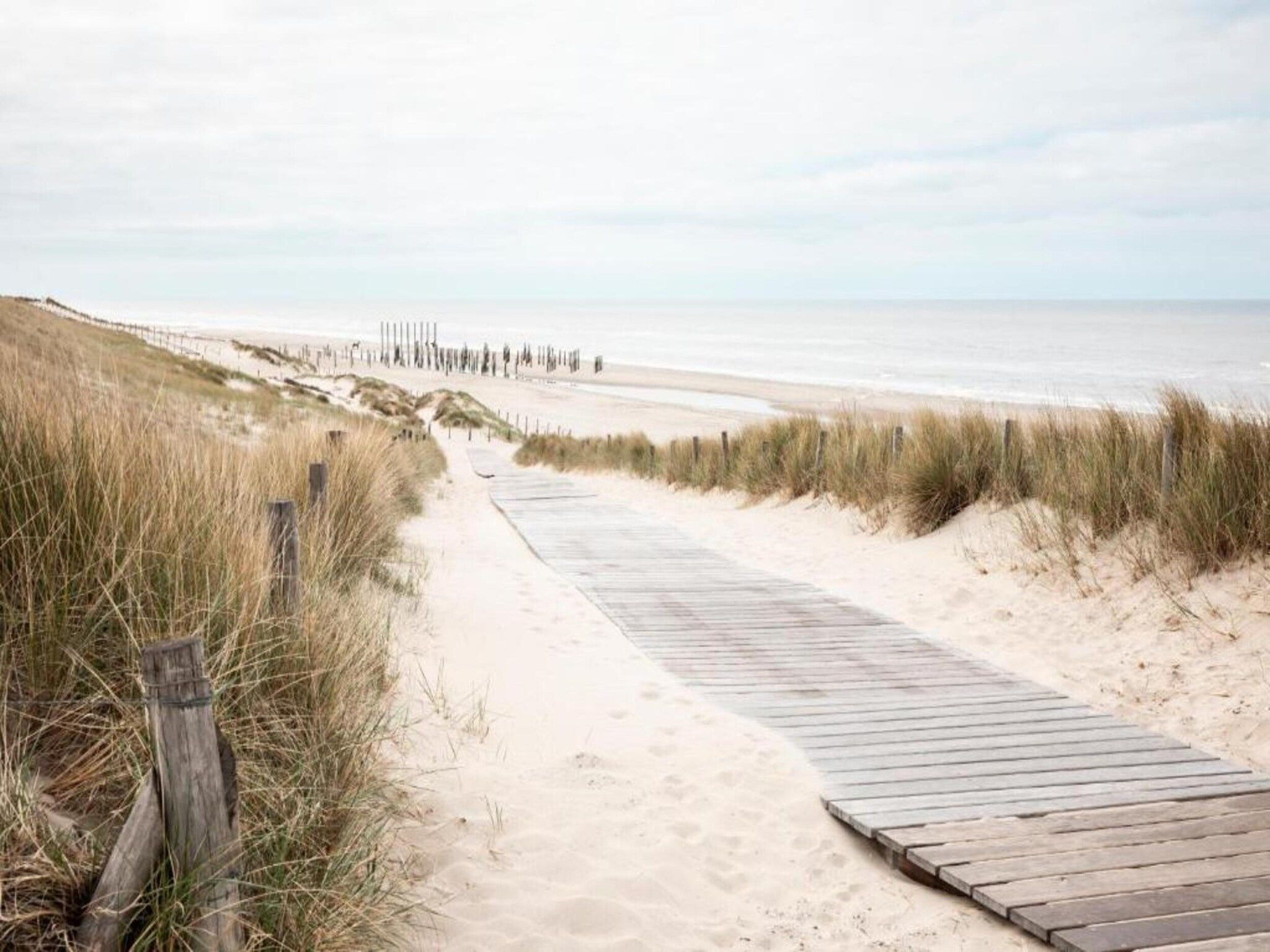 De omgeving van Belkmerduinen 31 in Sint Maartenszee