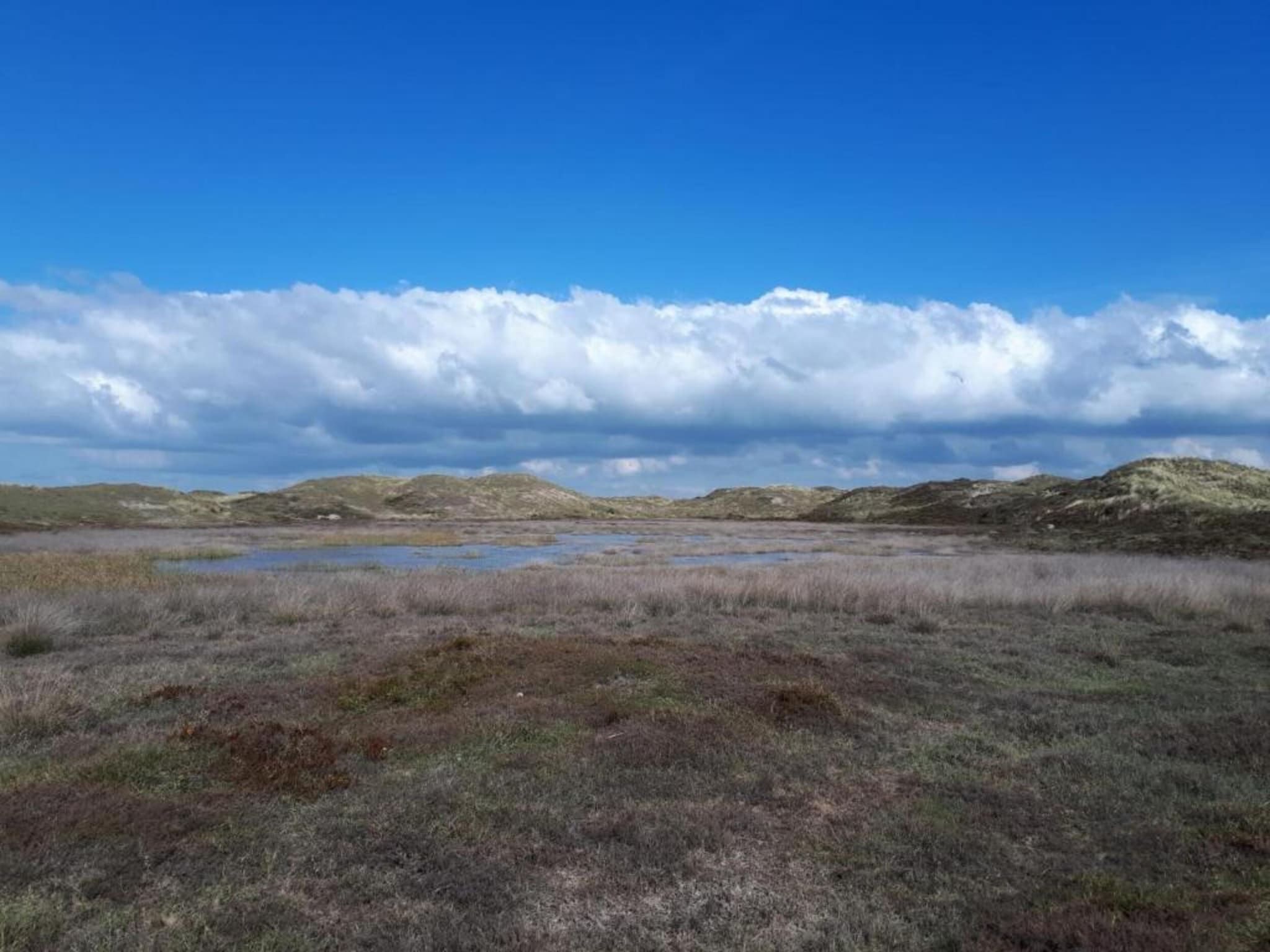 De omgeving van Belkmerduinen 31 in Sint Maartenszee