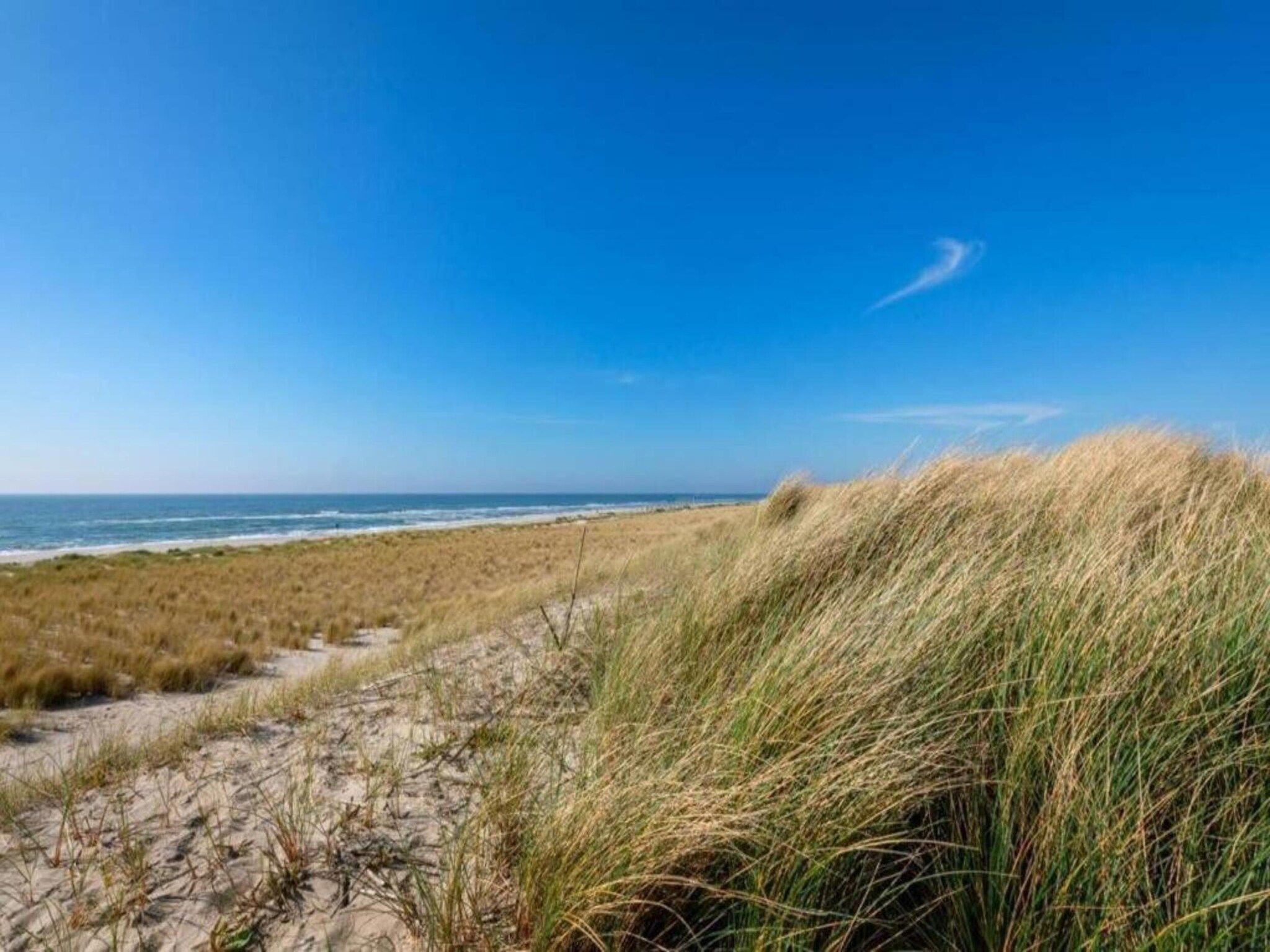 De omgeving van Belkmerduinen 31 in Sint Maartenszee