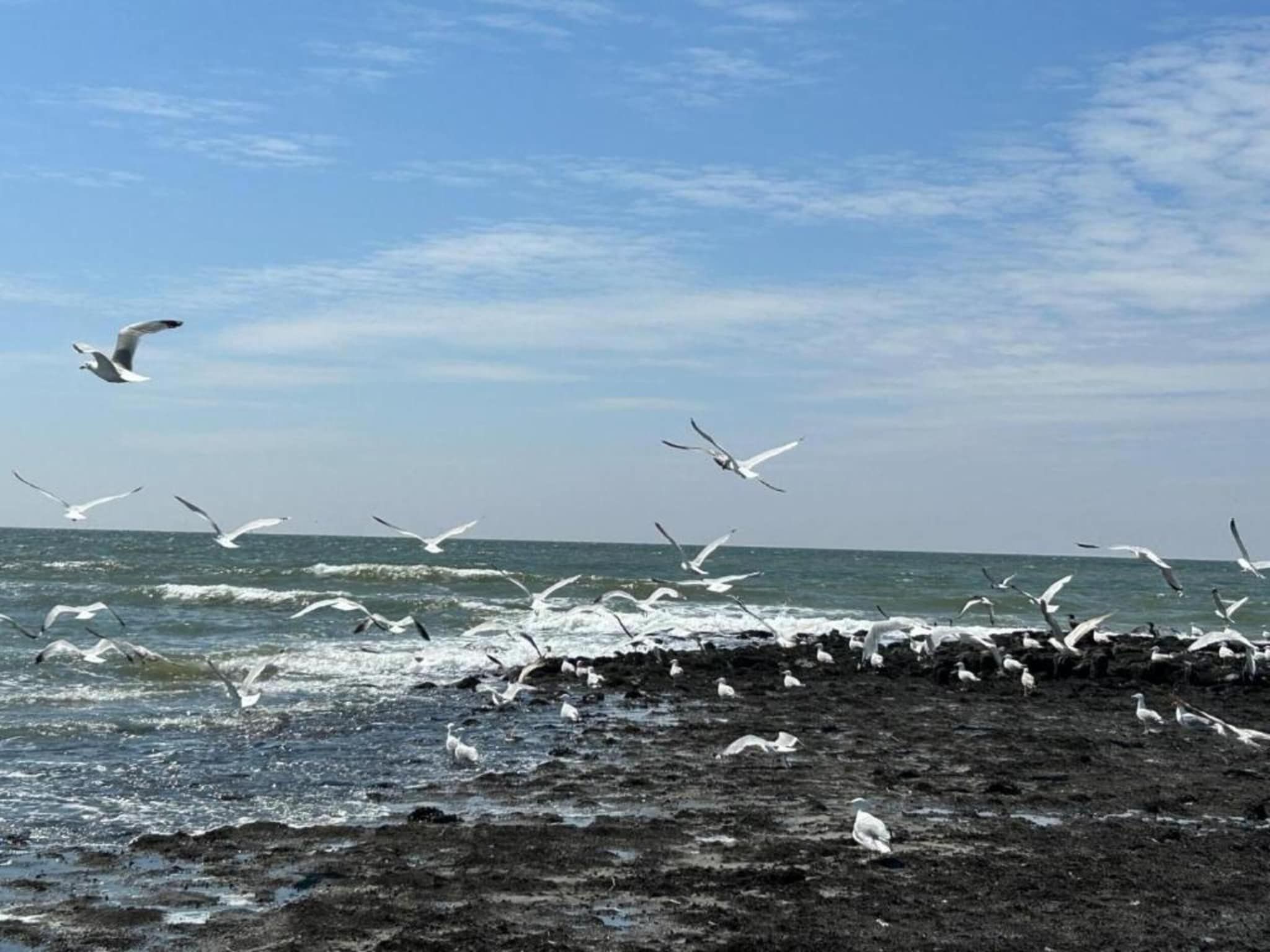 De omgeving van Belkmerduinen 31 in Sint Maartenszee