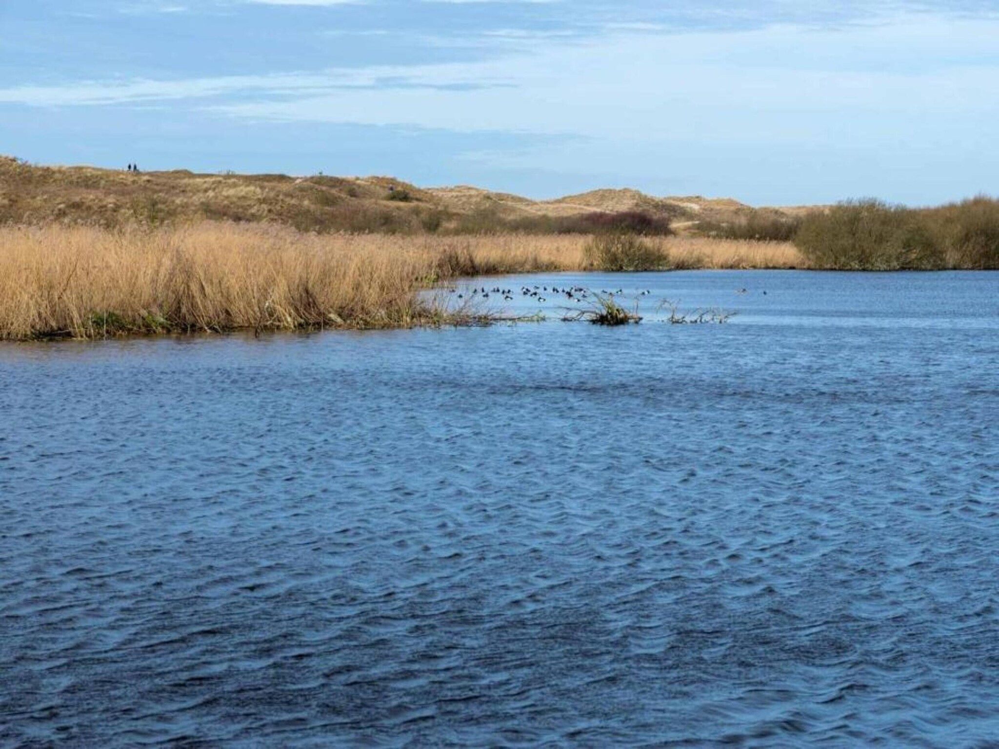De omgeving van Wildrijk 141 in Sint Maartenszee