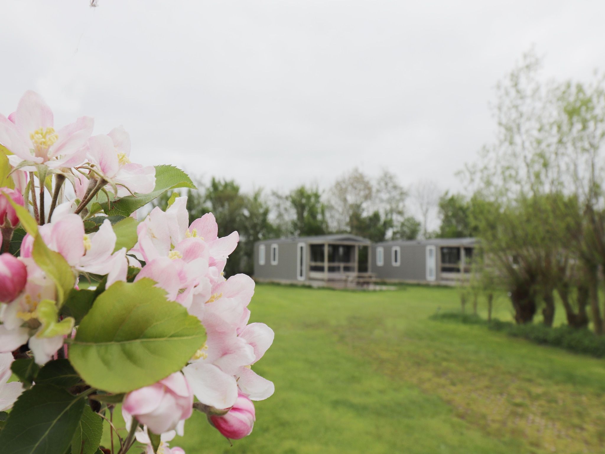 De buitenkant van Cosy cabin 2 in Heeg