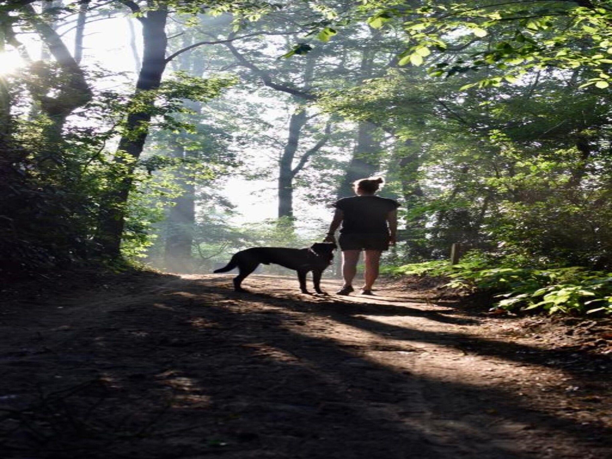 Chalet Egel in Hengelo - Foto 25 van 33