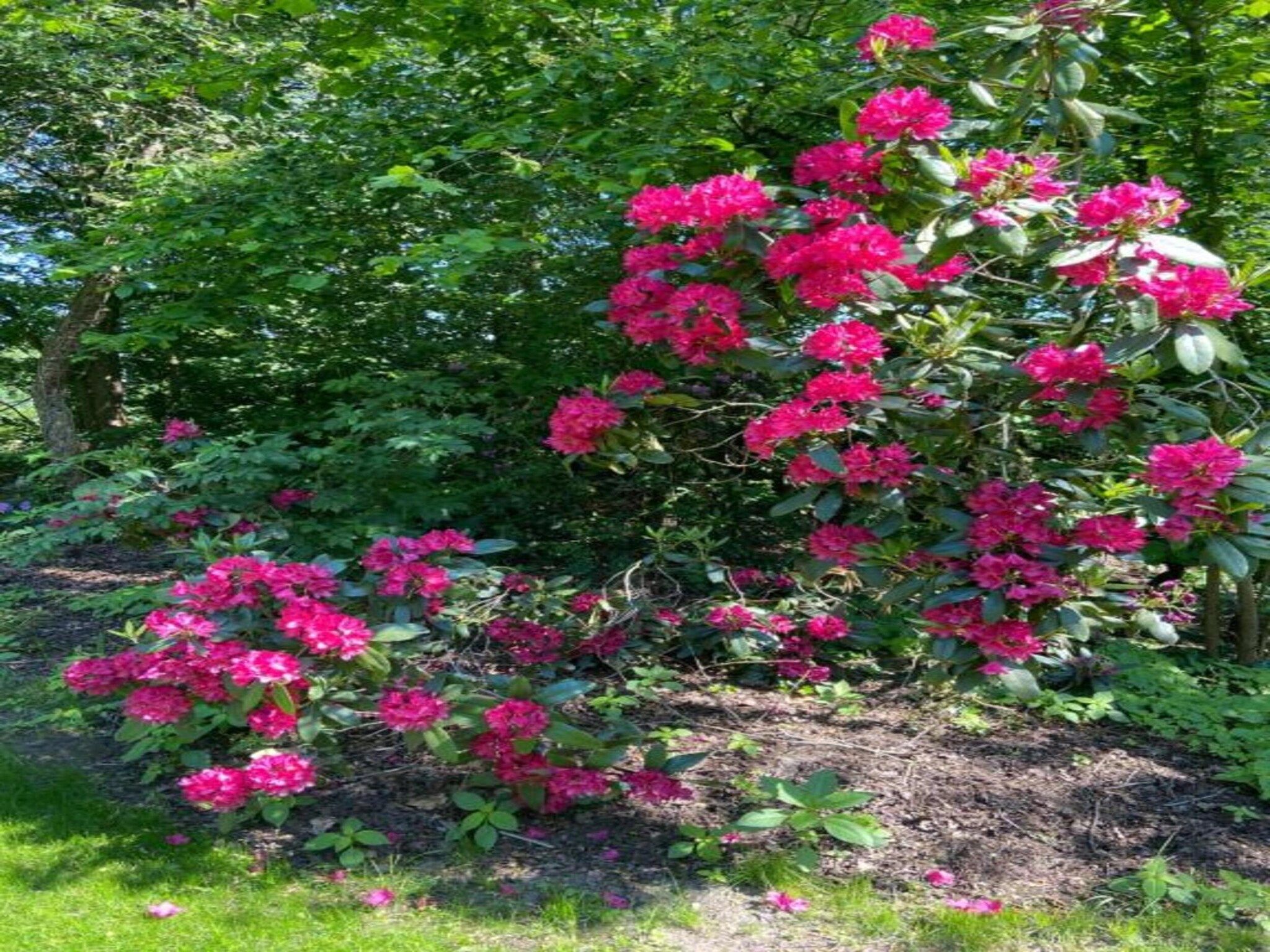 Chalet Egel in Hengelo - Foto 29 van 33