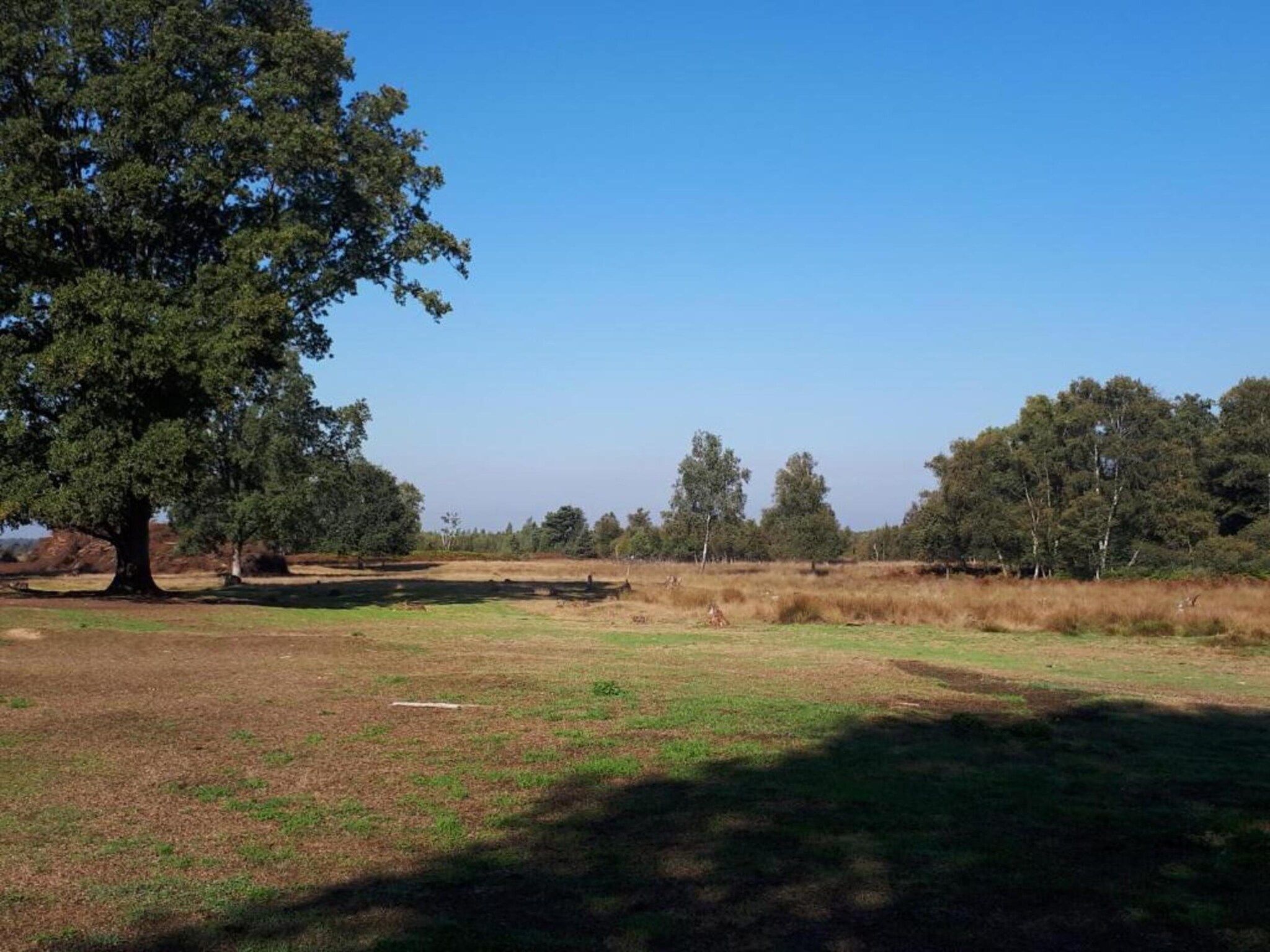 Chalet Egel in Hengelo - Foto 17 van 33