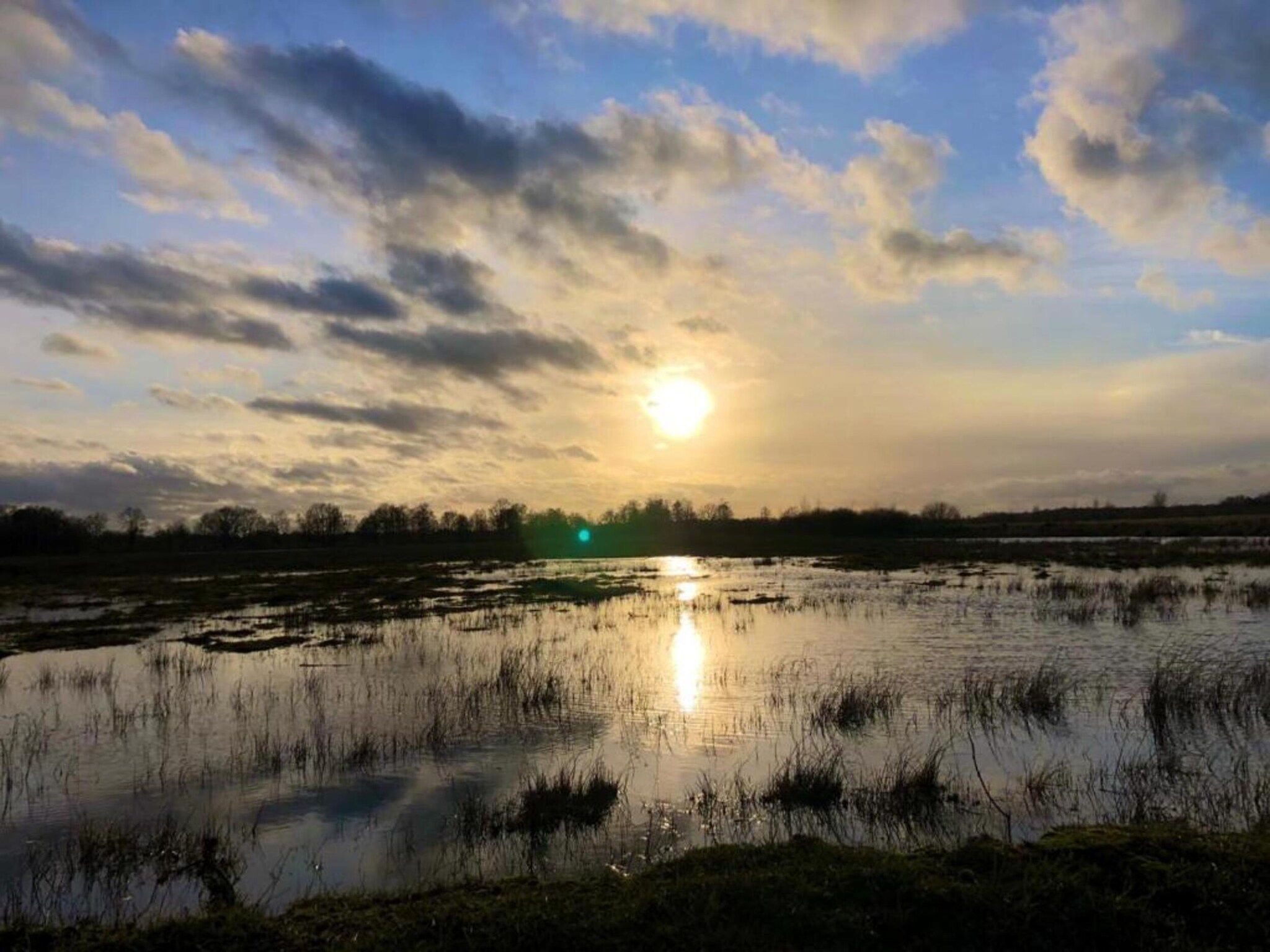 Chalet Egel in Hengelo - Foto 16 van 33