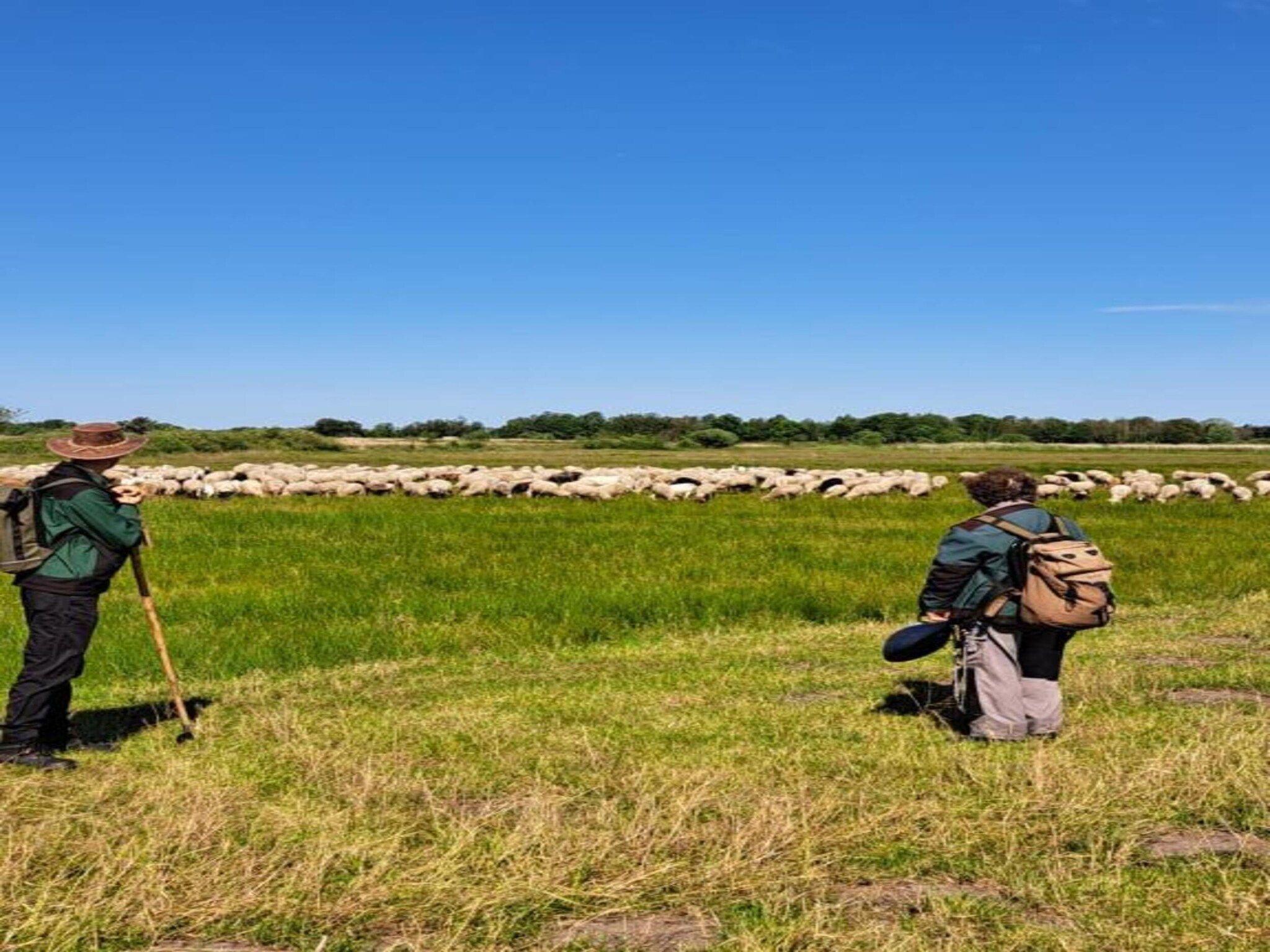 Chalet Egel in Hengelo - Foto 21 van 33