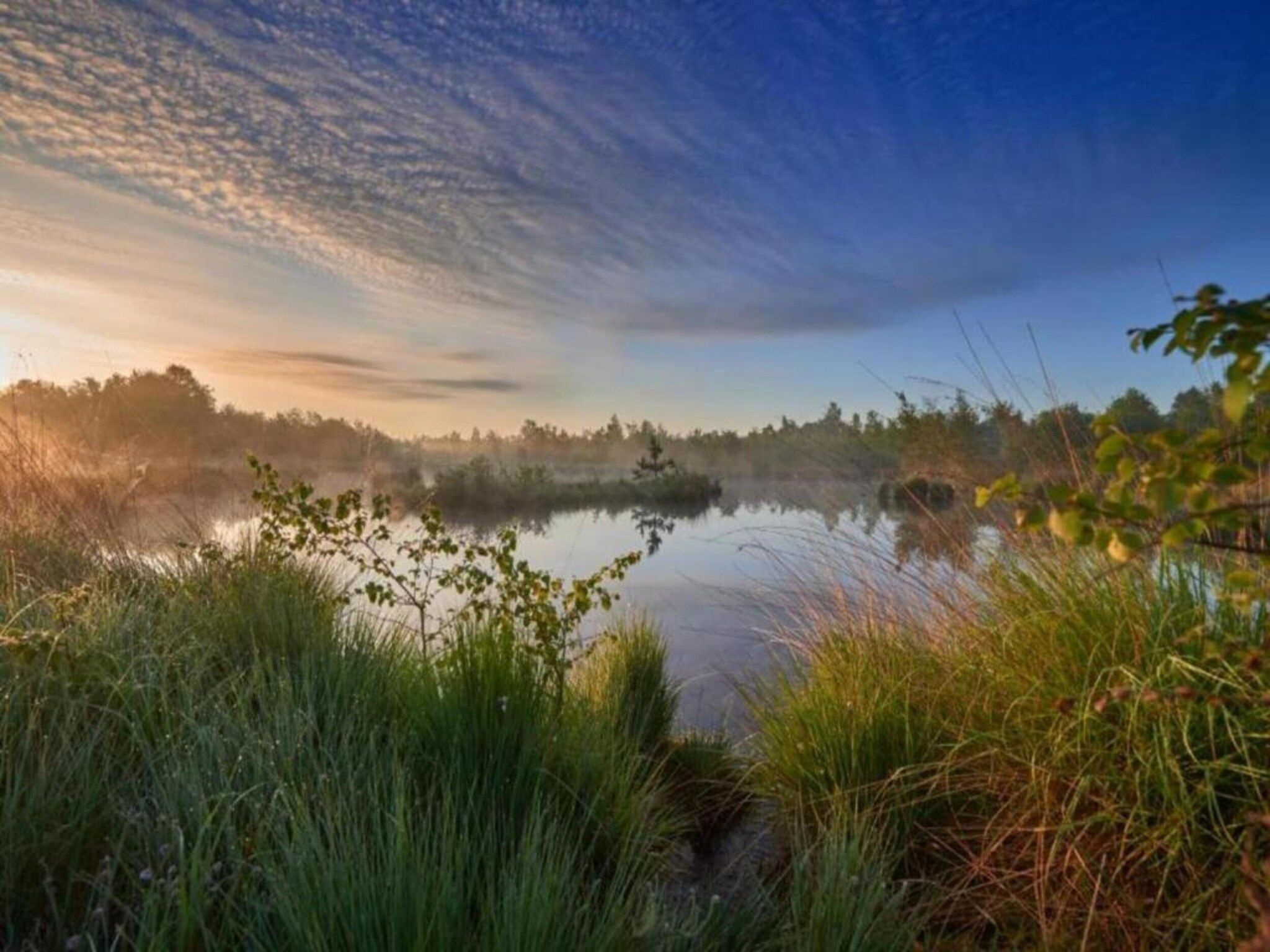 Chalet Egel in Hengelo - Foto 10 van 33