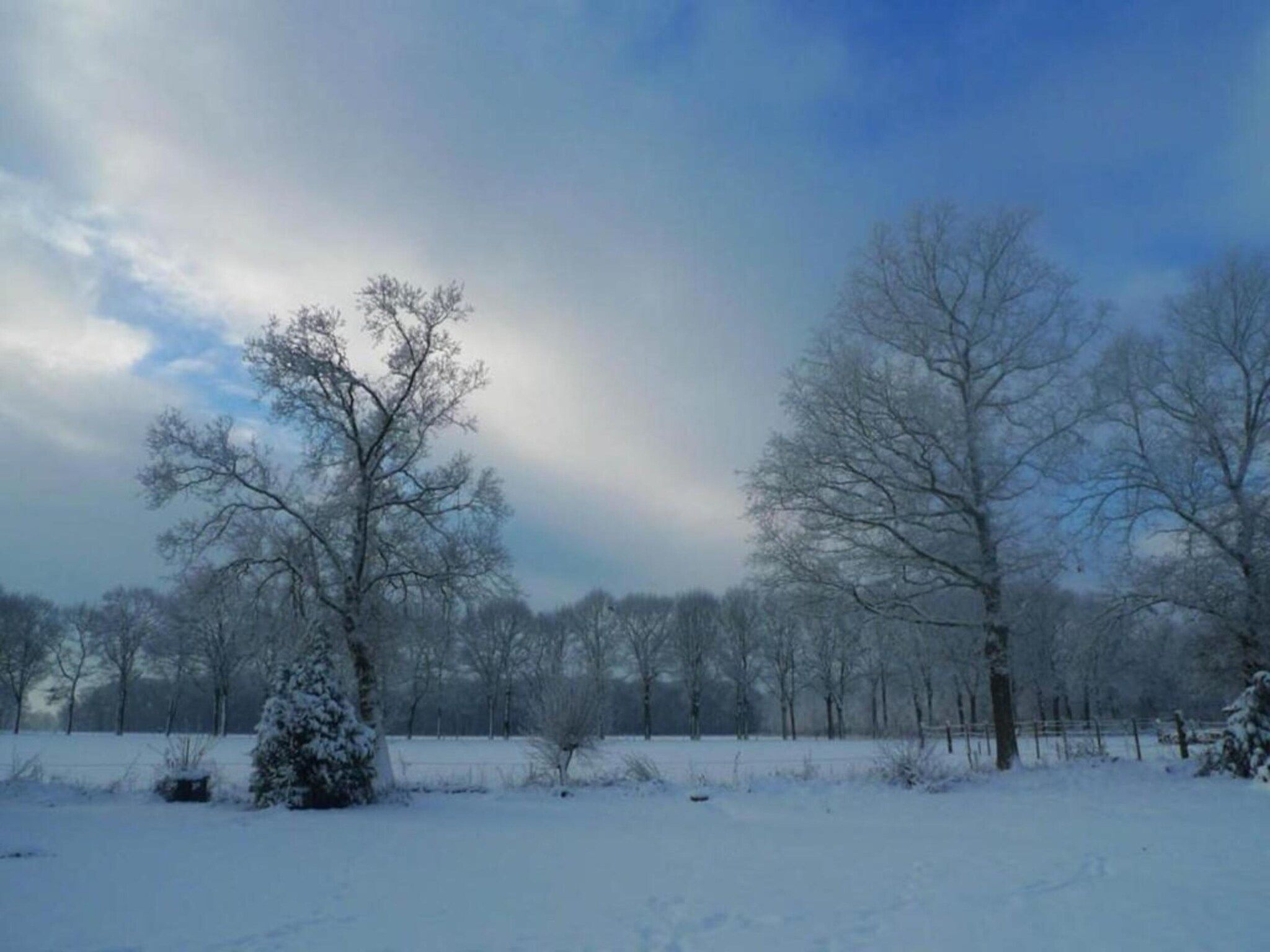 Chalet Egel in Hengelo - Foto 14 van 33