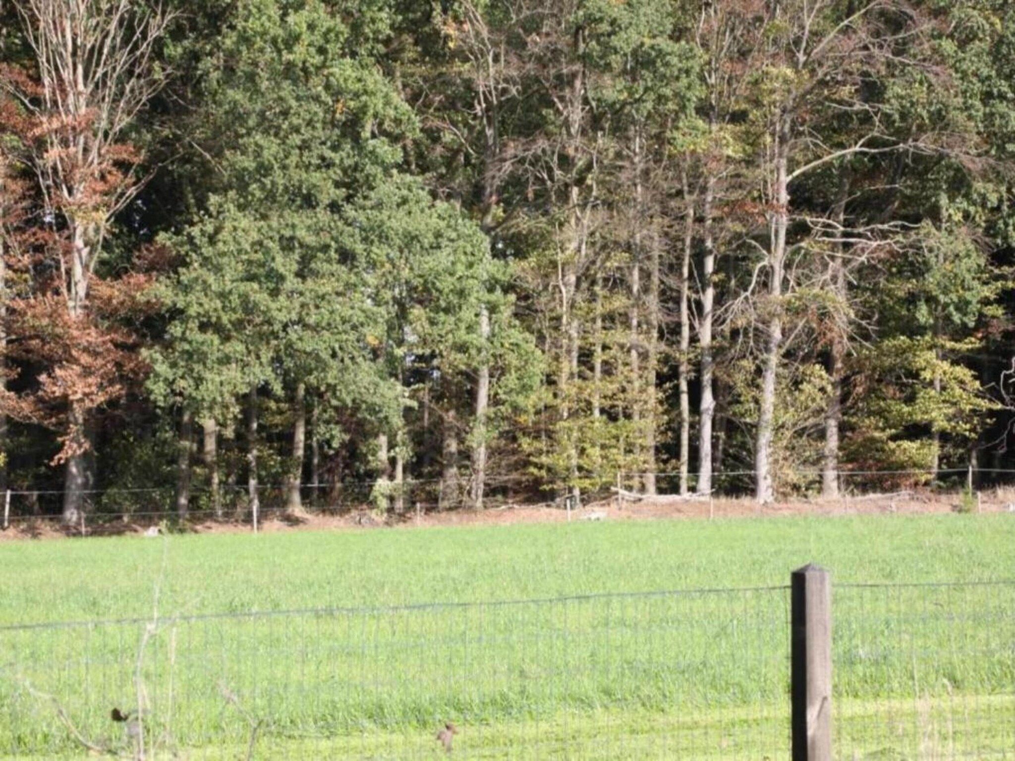 Chalet Egel in Hengelo - Foto 13 van 33