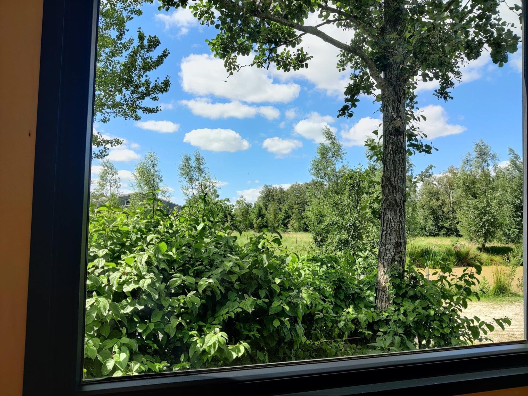 Het uitzicht vanaf Tiny house voor 2  2 personen in Scherpenzeel (FR)