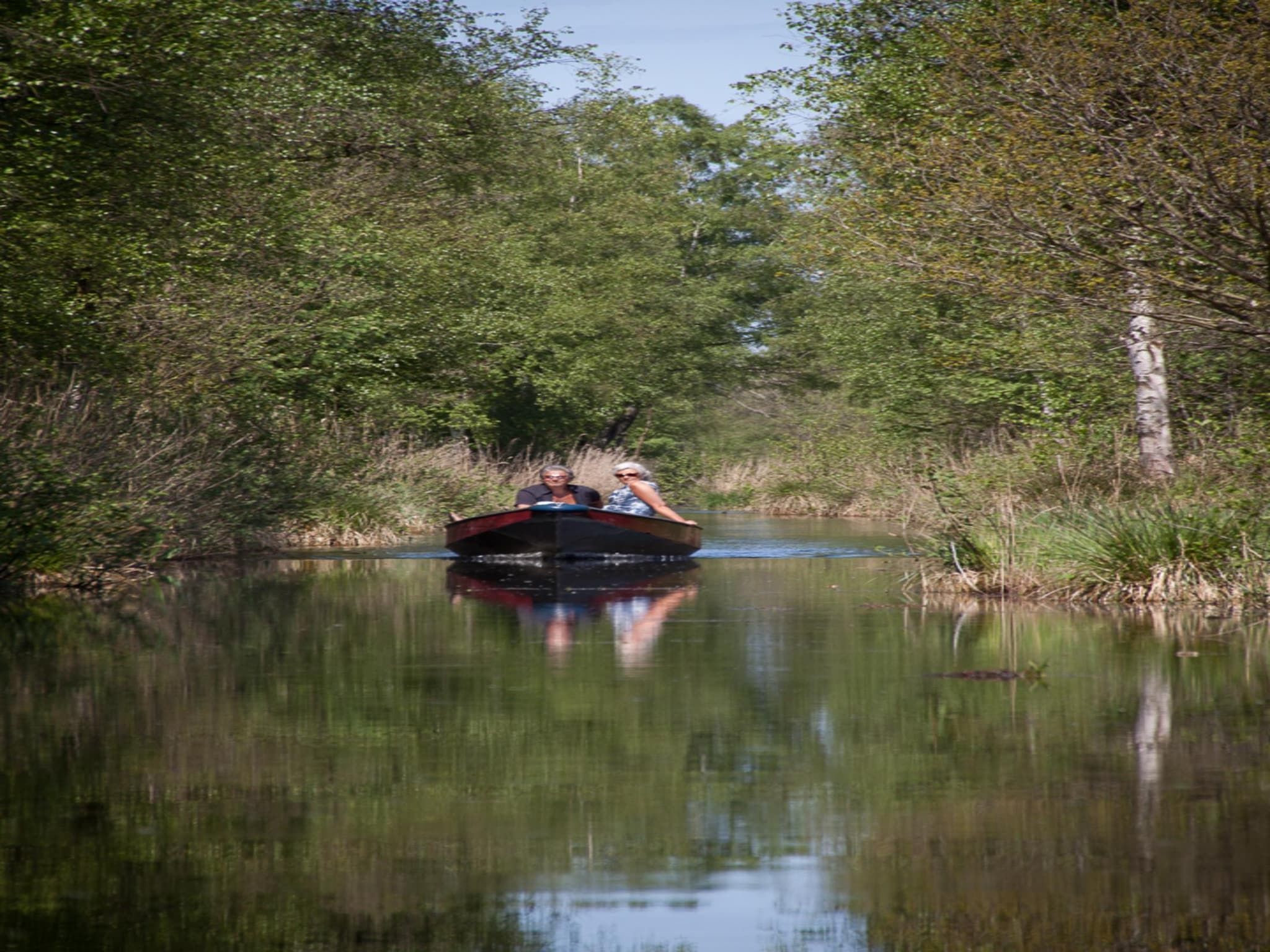 De omgeving van Tiny house voor 2  2 personen in Scherpenzeel (FR)