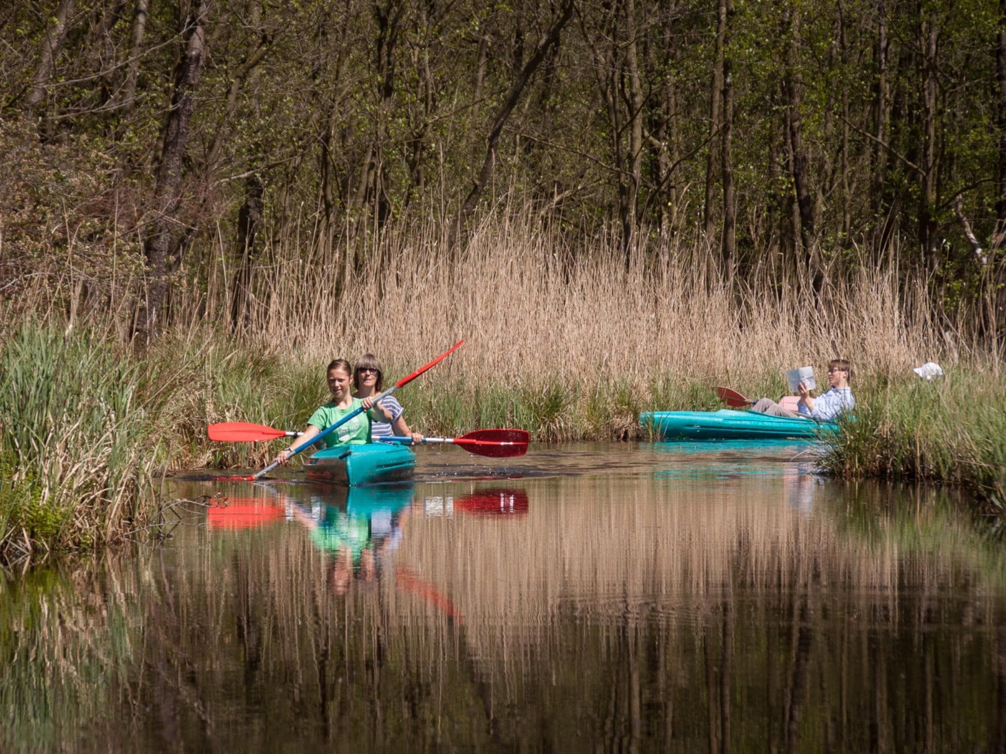 De omgeving van Groepsaccommodatie met 10 luxe tweepersoons kamers in Scherpenzeel (FR)