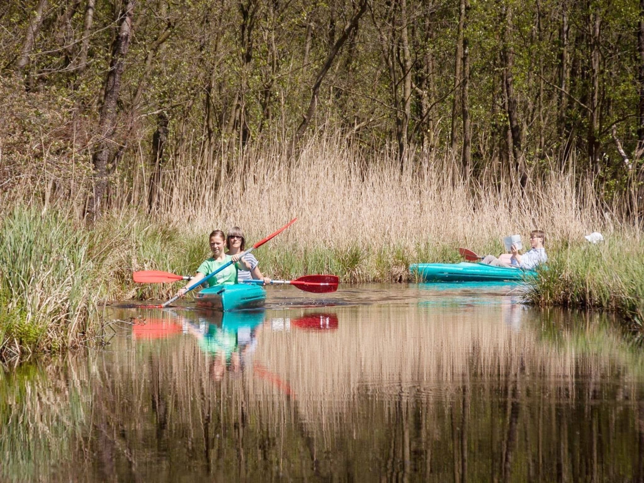 De omgeving van Groepsaccommodatie met 10 luxe tweepersoons kamers in Scherpenzeel (FR)