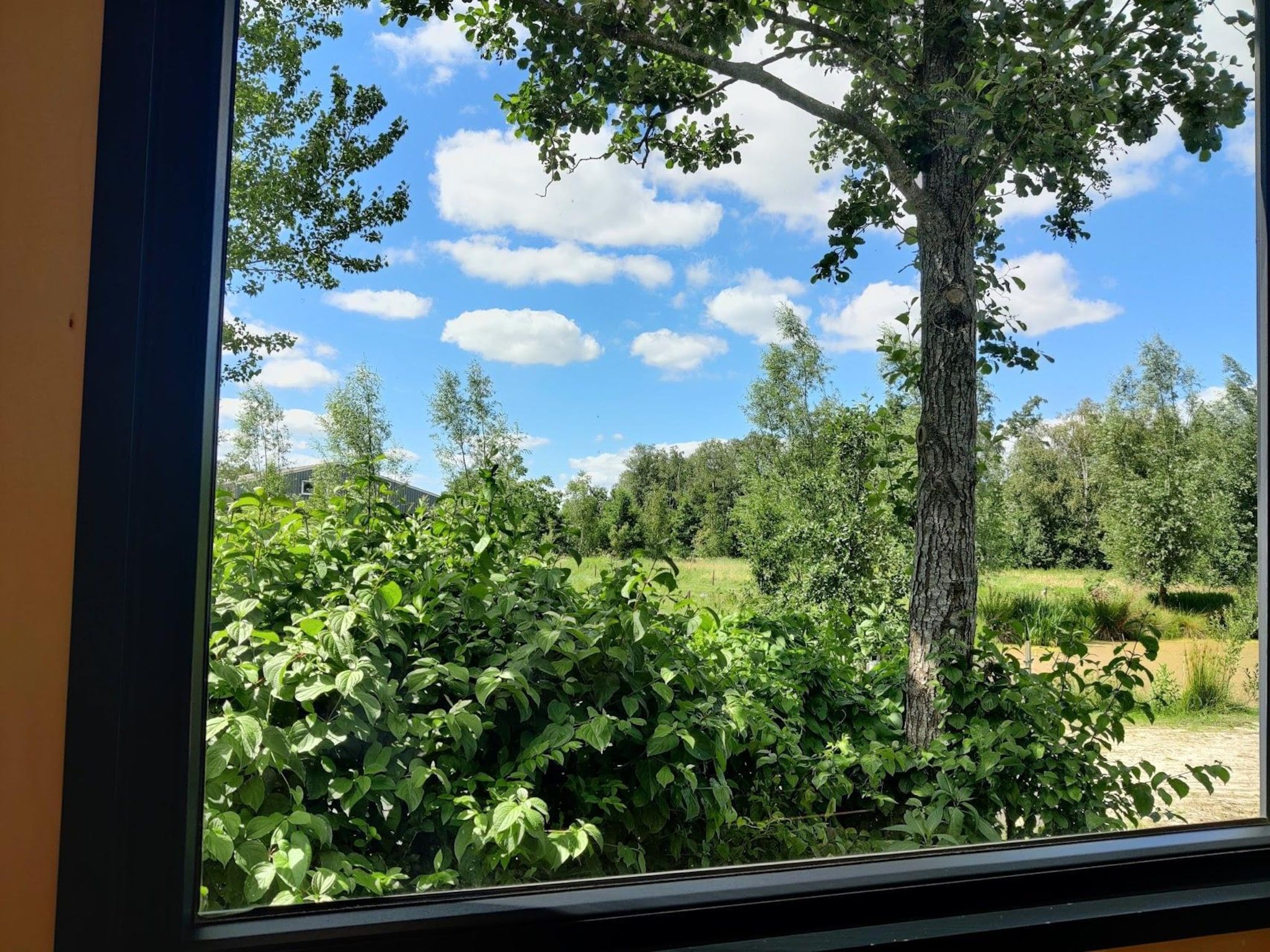 Sfeerbeeld van Groepsaccommodatie + 4 large greenhouses (36 personen) in Scherpenzeel (FR)