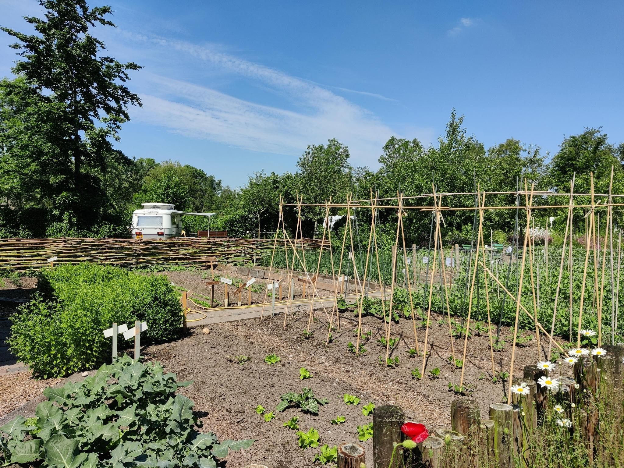 De tuin van Groepsaccommodatie + 4 large greenhouses (36 personen) in Scherpenzeel (FR)