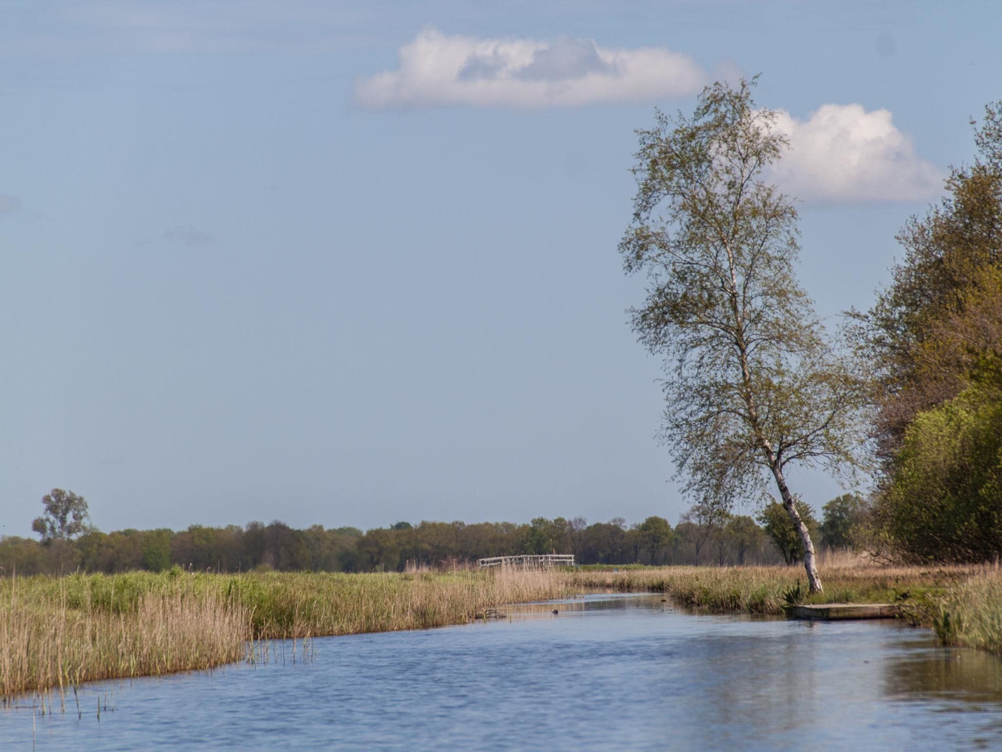 De omgeving van Groepsaccommodatie + 4 large greenhouses (36 personen) in Scherpenzeel (FR)