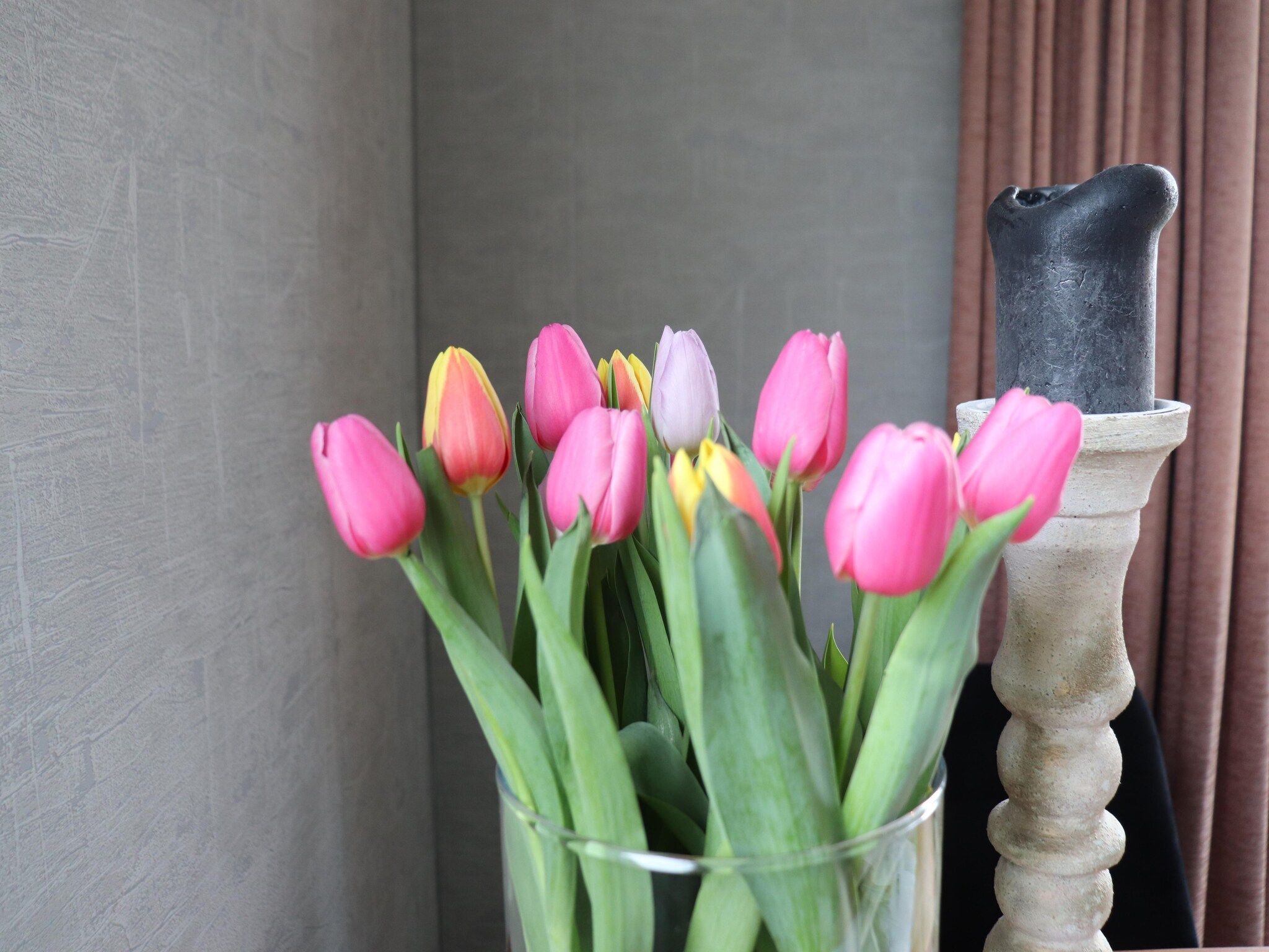 Sfeerbeeld van Grutto en Turleluur in Tjerkgaast