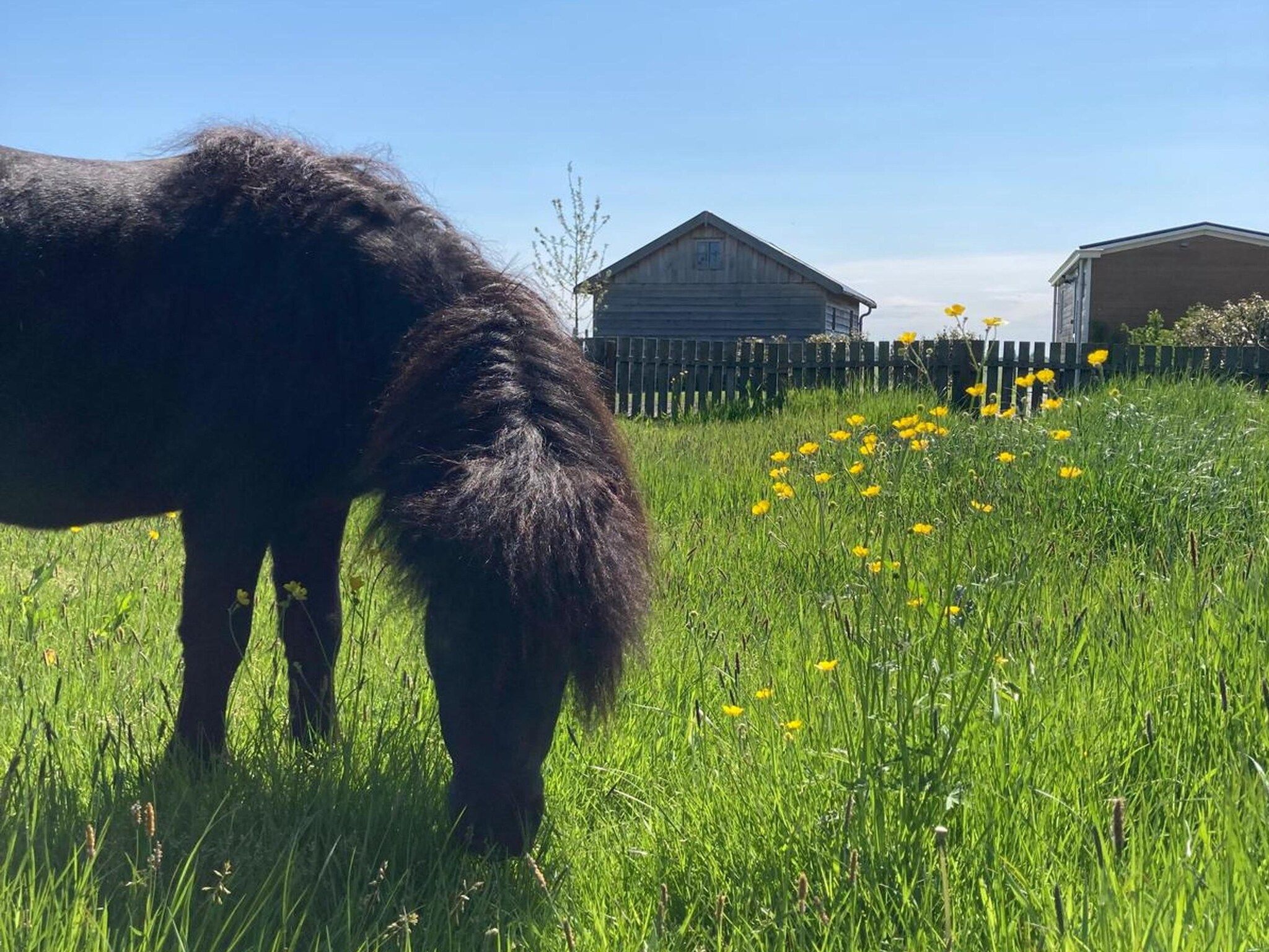 Het uitzicht vanaf Grutto en Turleluur in Tjerkgaast
