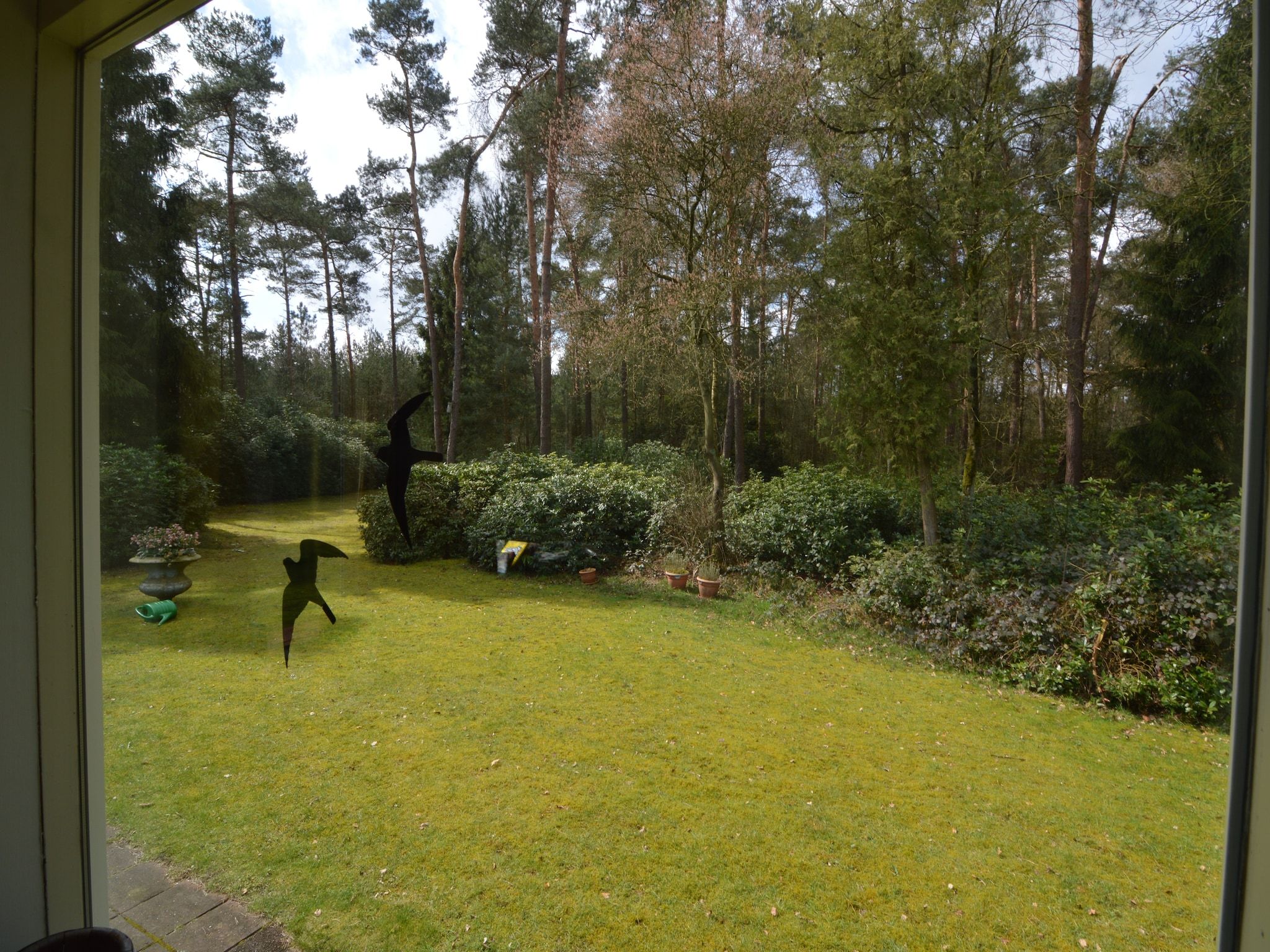 Het uitzicht vanaf Ruischende Dennen in Huybergen